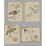 FOUR PARROT PAINTINGS, QING