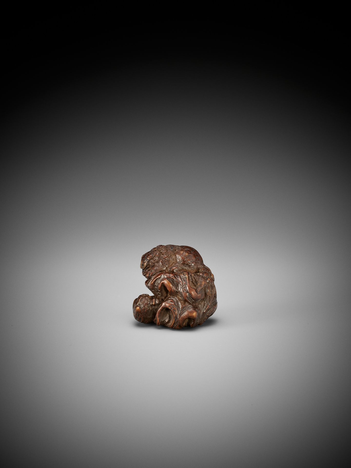 KOKEI: A RARE WOOD NETSUKE OF A SHISHI TRAINING ITS CUB - Bild 8 aus 15