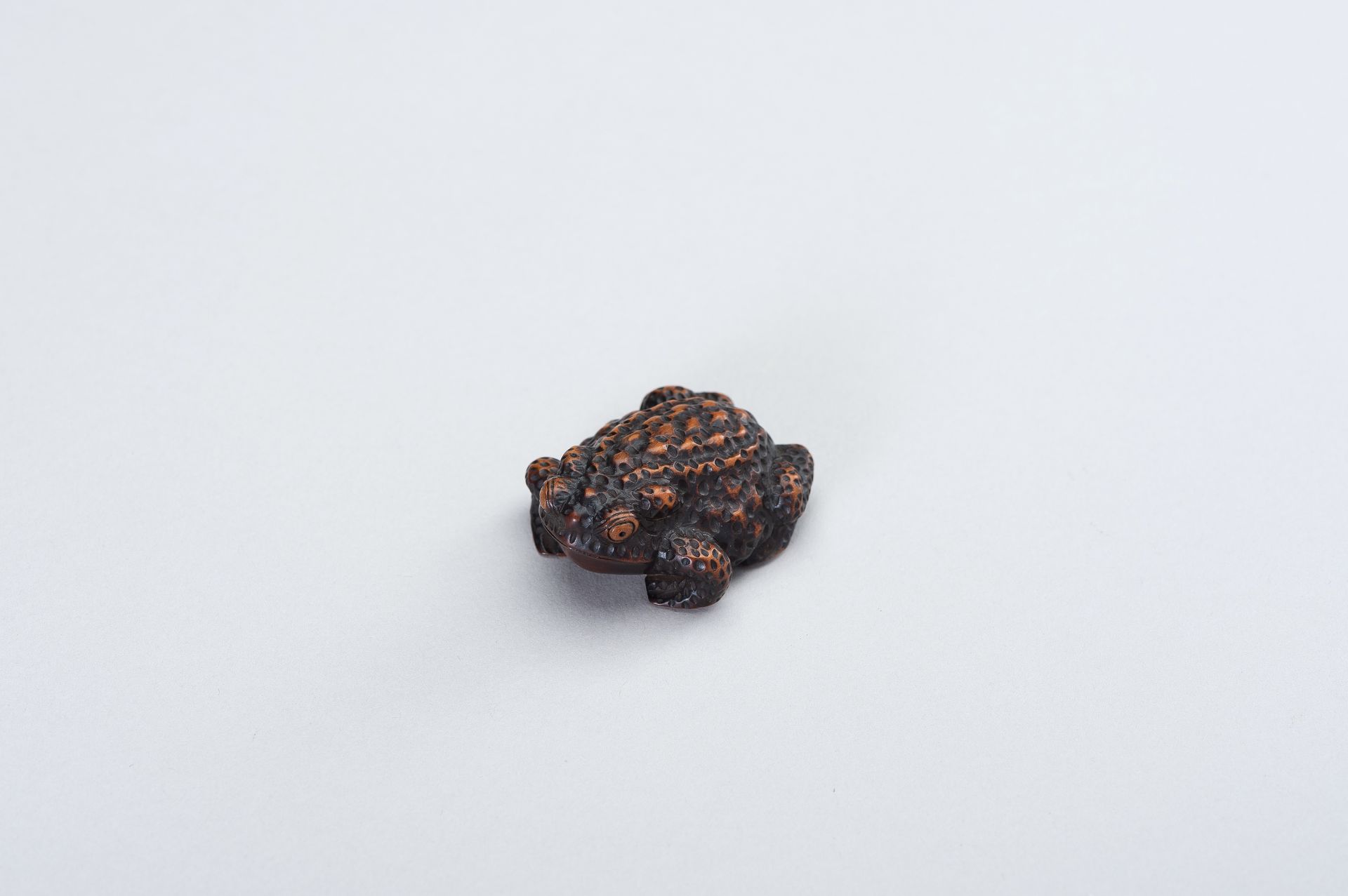 SHIGETADA: A WOOD NETSUKE OF A TOAD - Bild 5 aus 14