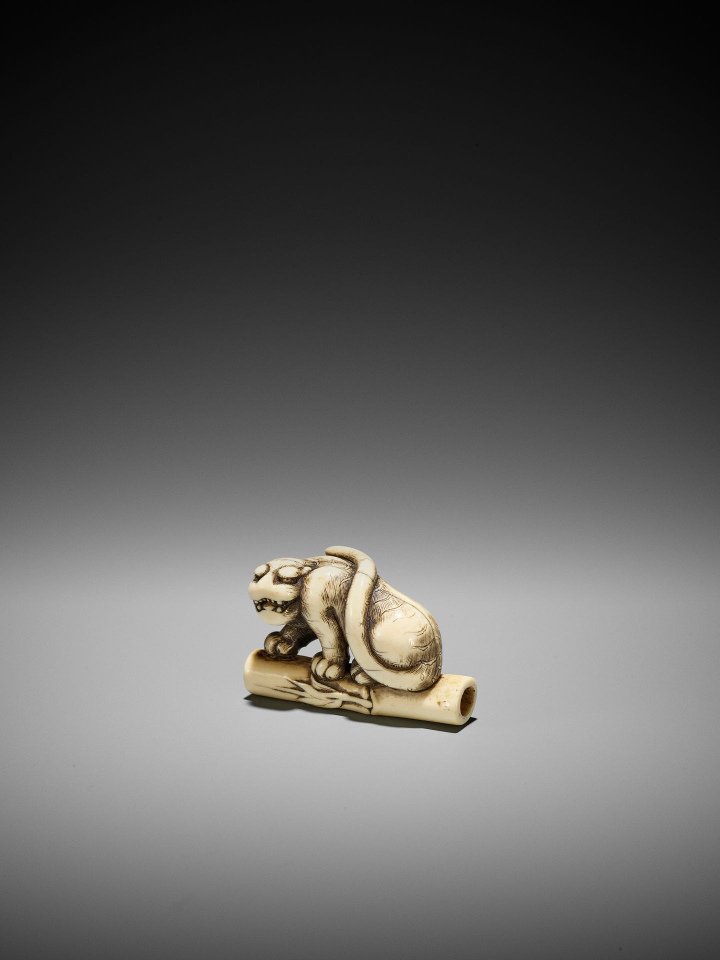 A POWERFUL KYOTO SCHOOL IVORY NETSUKE OF A TIGER ON BAMBOO - Bild 7 aus 15