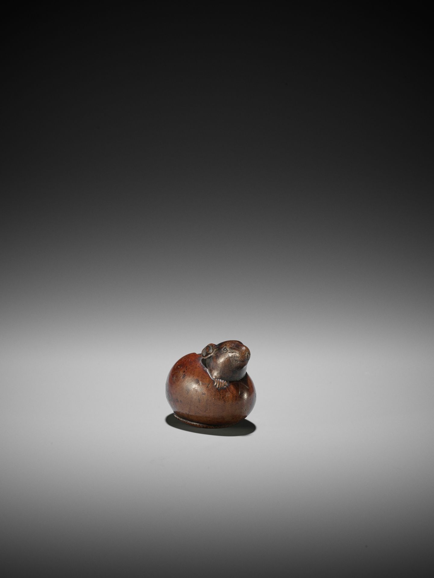 RANKO: A RARE WOOD NETSUKE OF A RAT EMERGING FROM AN EGG - Bild 10 aus 12