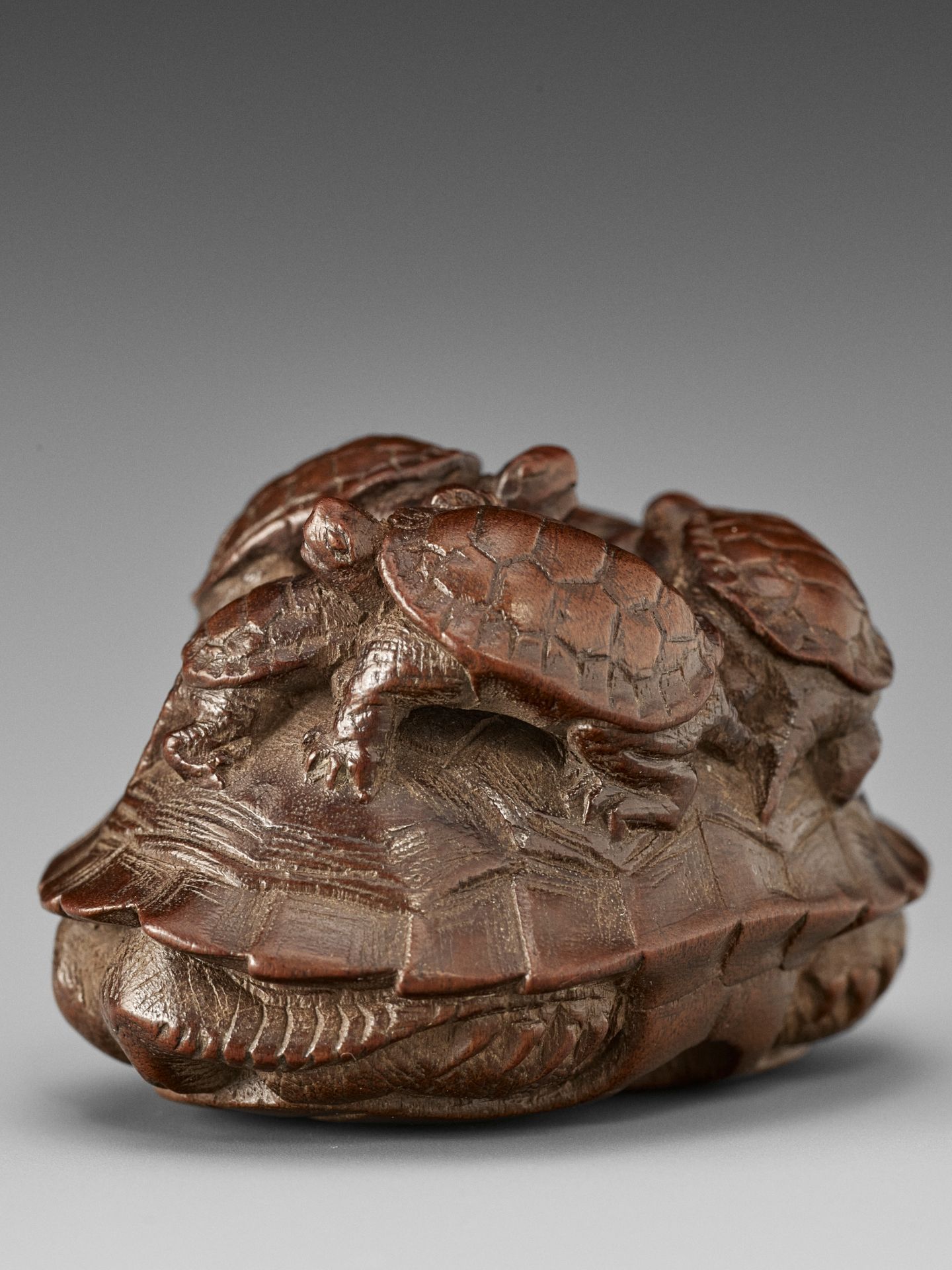 TOMIN: A FINE WOOD NETSUKE OF A TORTOISE WITH FIVE YOUNG - Bild 3 aus 13