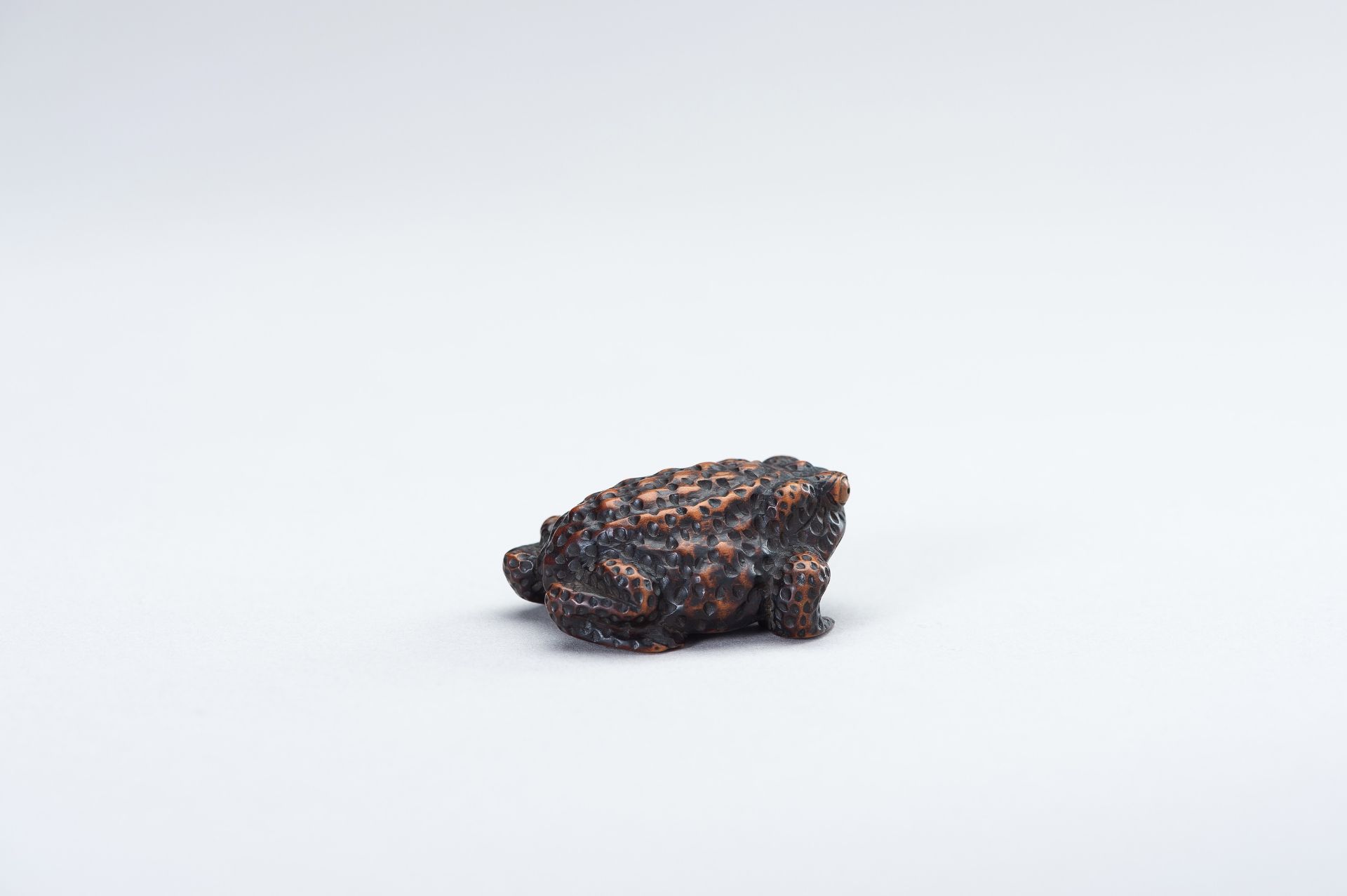 SHIGETADA: A WOOD NETSUKE OF A TOAD - Image 6 of 14