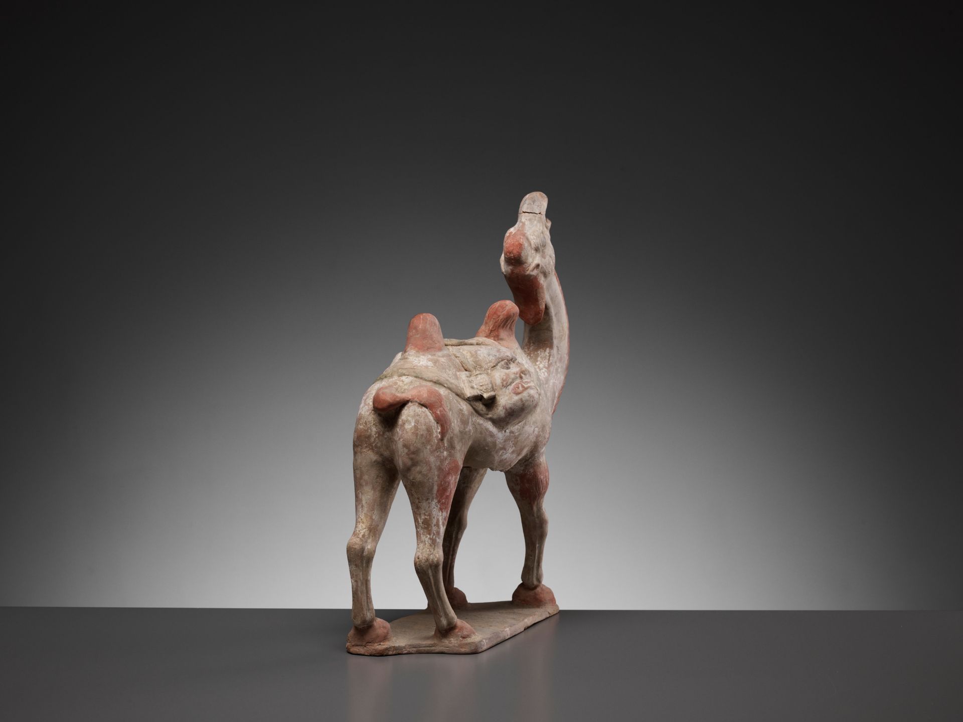 A PAINTED POTTERY FIGURE OF A BACTRIAN CAMEL, TANG DYNASTY - Bild 11 aus 13