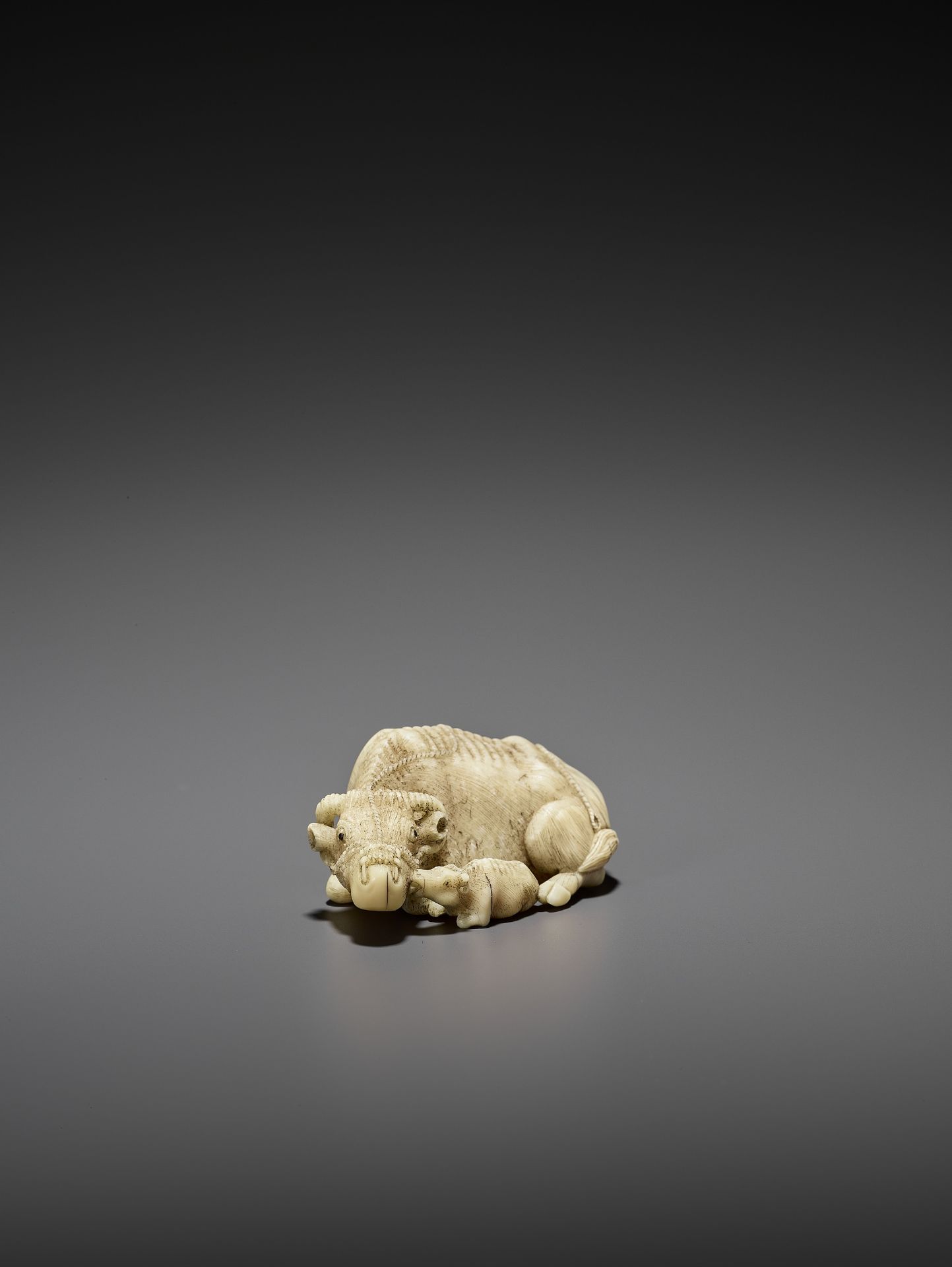 MITSUCHIKA: A LARGE AND RARE WALRUS IVORY NETSUKE OF A RECUMBENT COW WITH CALF - Bild 10 aus 13