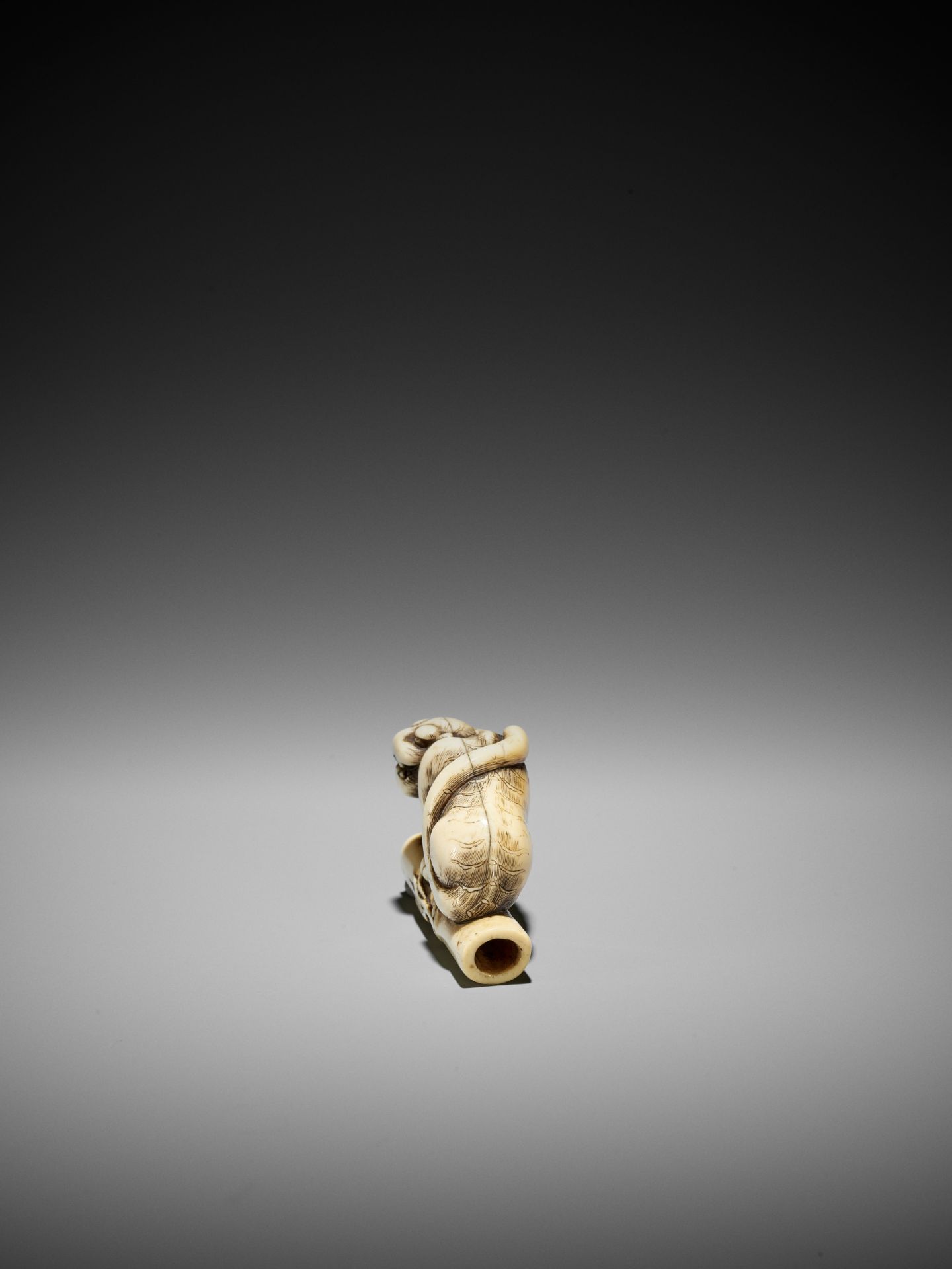 A POWERFUL KYOTO SCHOOL IVORY NETSUKE OF A TIGER ON BAMBOO - Bild 8 aus 15