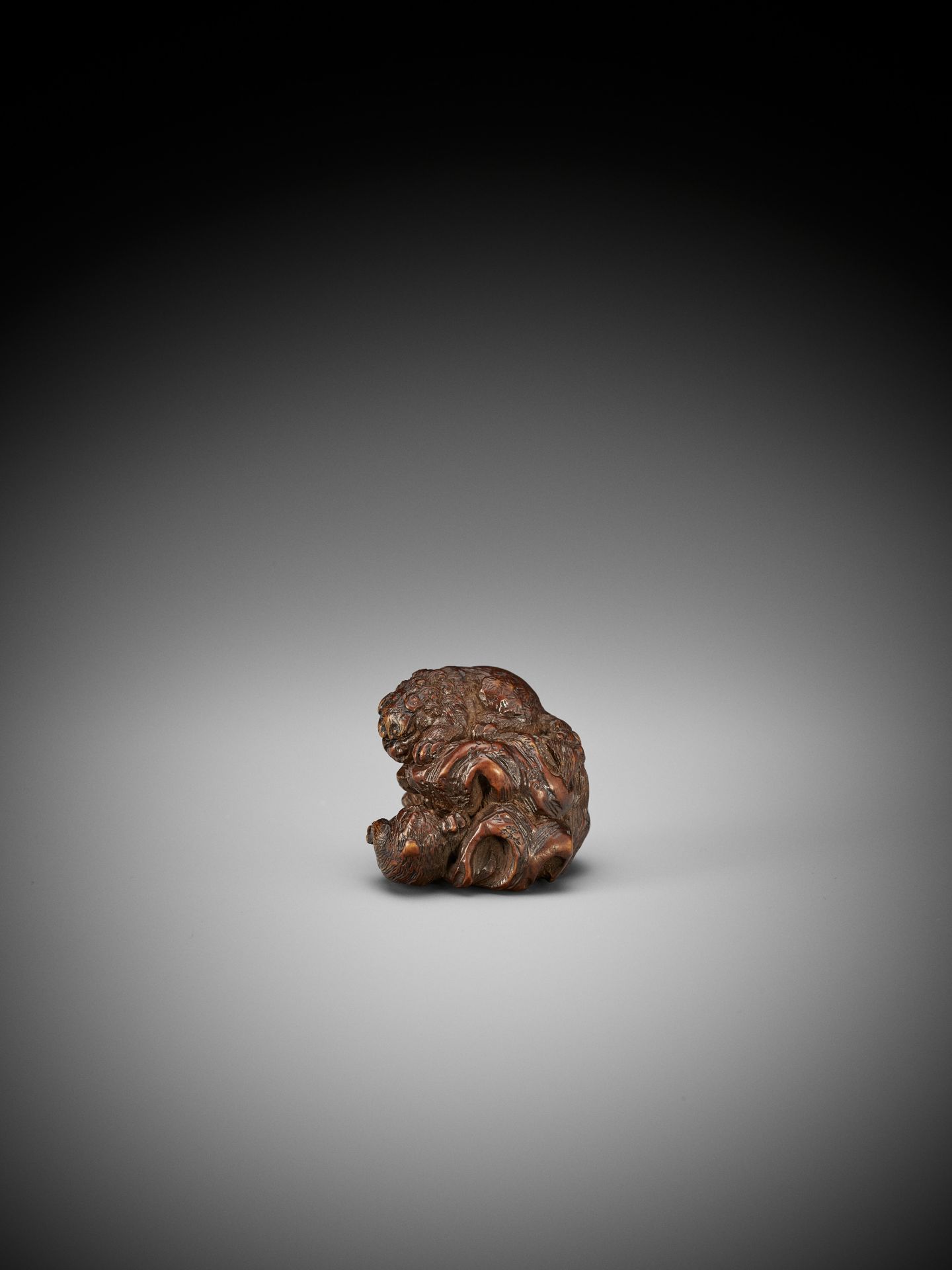 KOKEI: A RARE WOOD NETSUKE OF A SHISHI TRAINING ITS CUB - Bild 7 aus 15