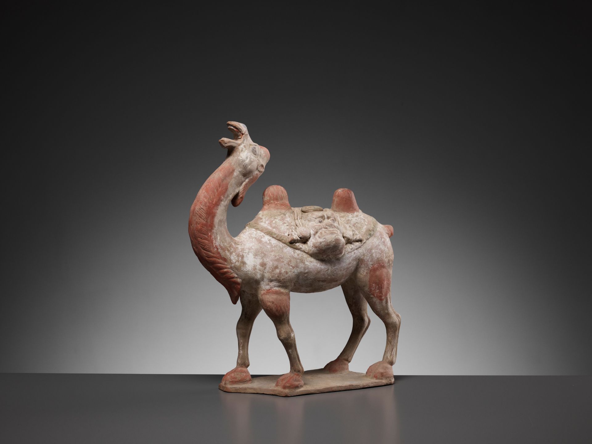 A PAINTED POTTERY FIGURE OF A BACTRIAN CAMEL, TANG DYNASTY - Bild 3 aus 13