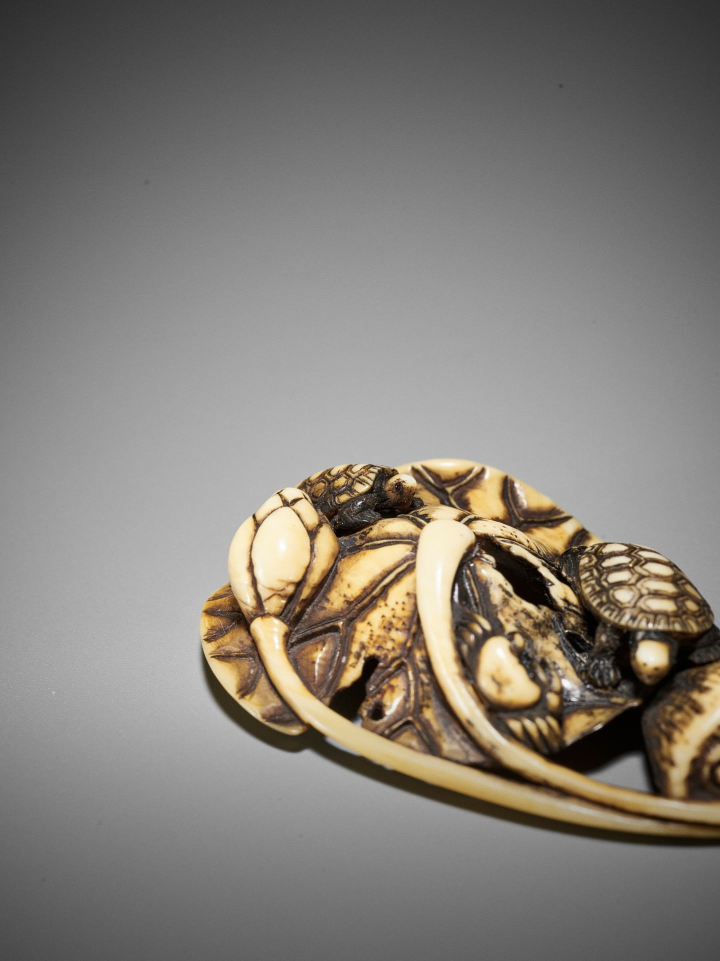 A FINE WALRUS IVORY NETSUKE OF TORTOISES, CRAB AND LOTUS, ATTRIBUTED TO RENSAI - Bild 4 aus 9