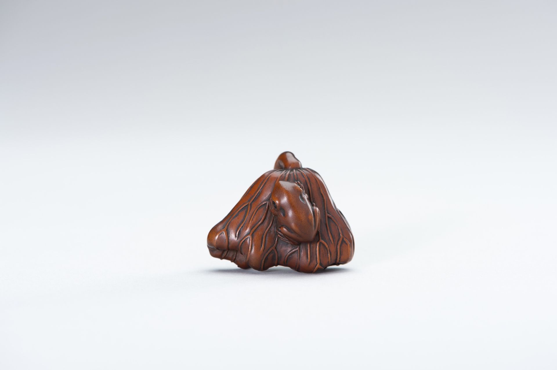 A WOOD NETSUKE OF A FROG AND LOTUS - Bild 12 aus 13