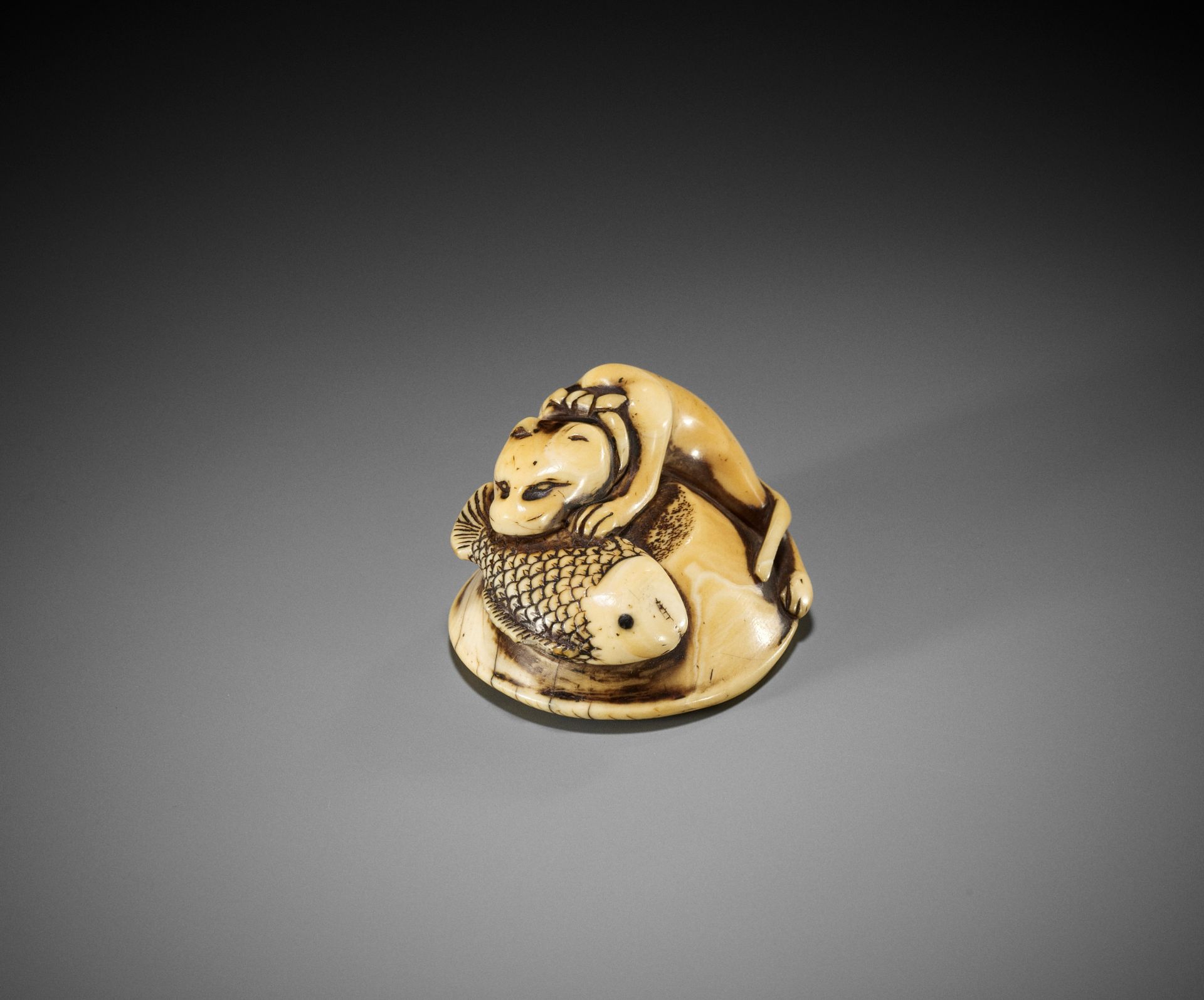 A RARE IVORY NETSUKE OF A CAT EATING A FISH