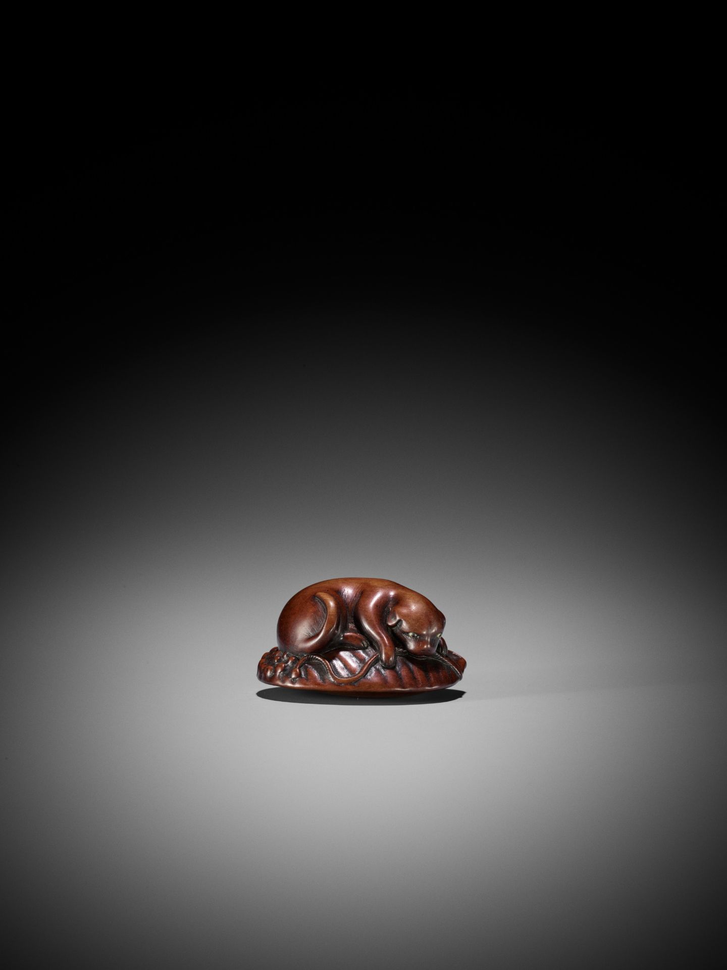 HOSHIN: A WOOD NETSUKE OF A PUPPY ON AWABI - Bild 4 aus 14