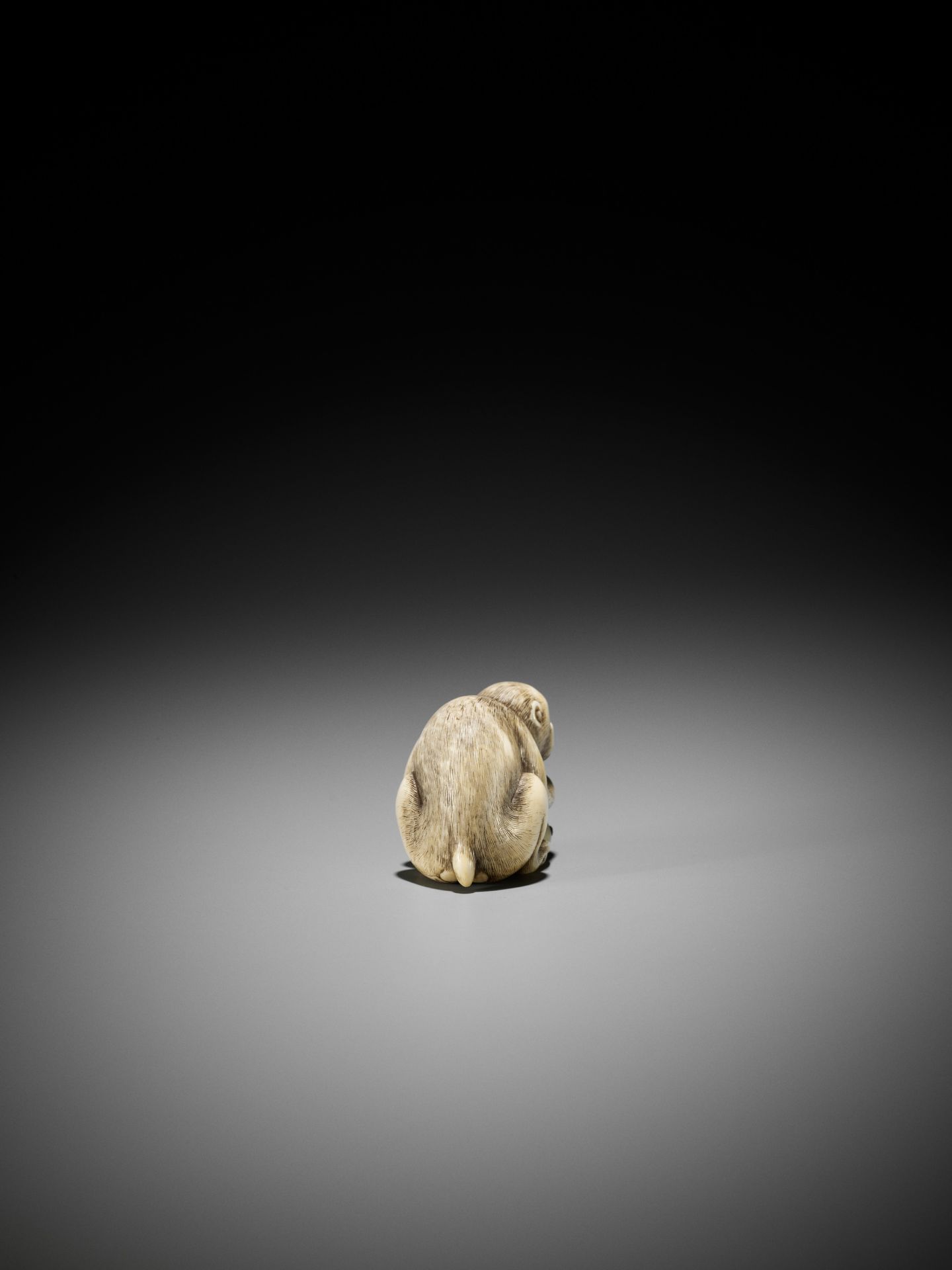 OKATORI: A FINE IVORY NETSUKE OF A MONKEY WITH BIWA (LOQUATS) - Bild 9 aus 13