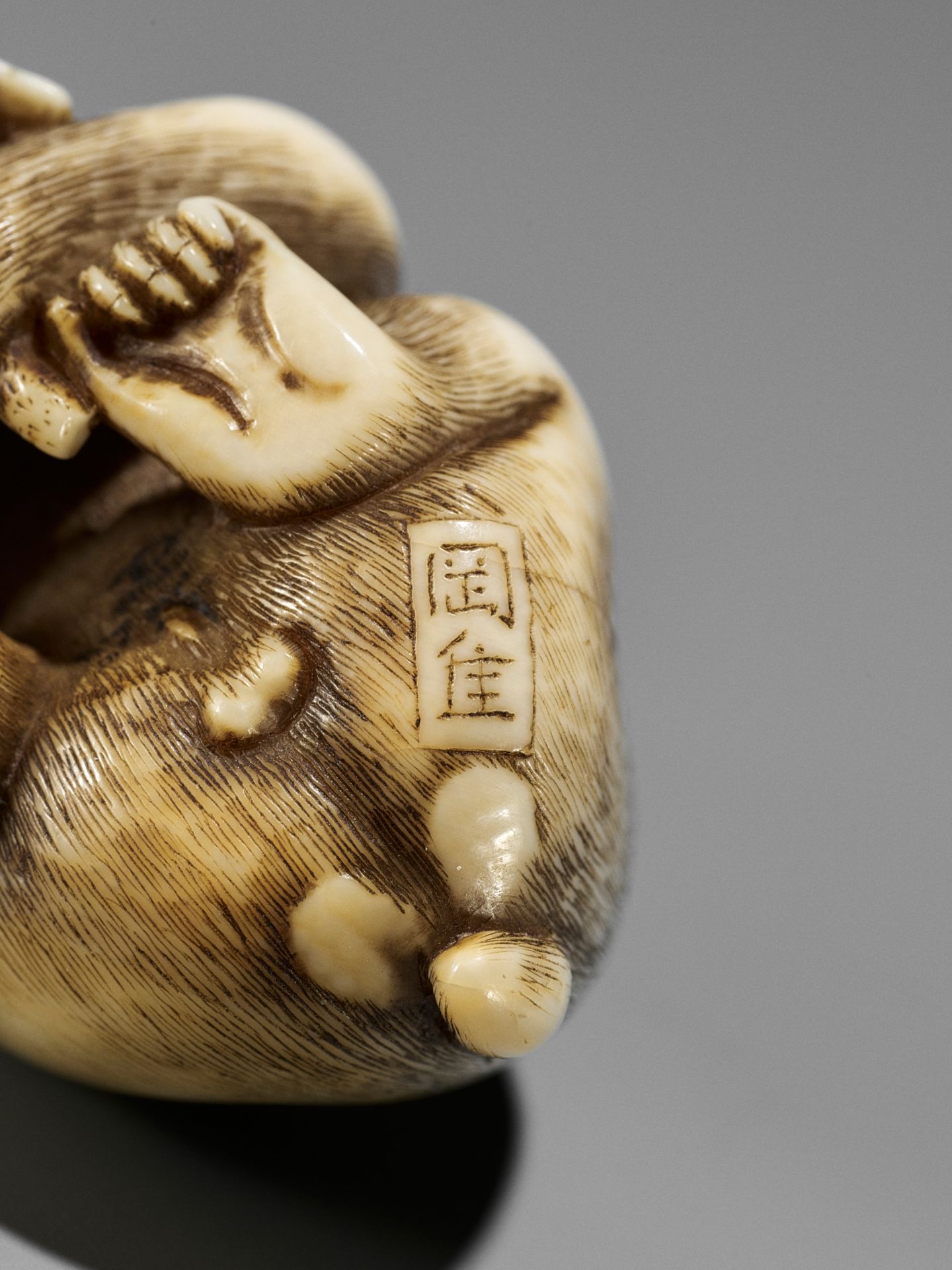 OKATORI: A FINE IVORY NETSUKE OF A MONKEY WITH BIWA (LOQUATS) - Bild 11 aus 13