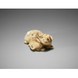 RANTEI: A CHARMING IVORY NETSUKE OF TWO PLAYING PUPS