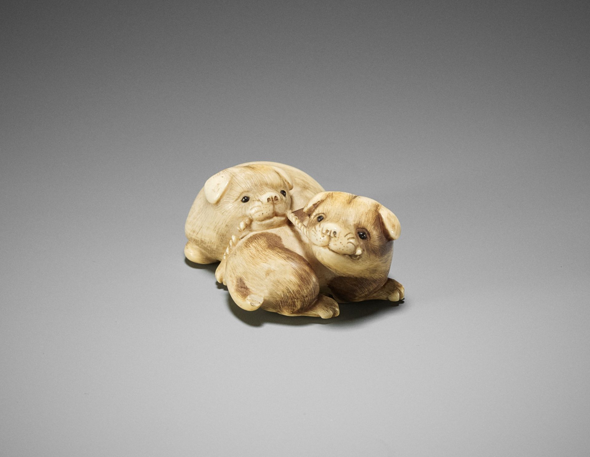 RANTEI: A CHARMING IVORY NETSUKE OF TWO PLAYING PUPS