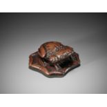 A LARGE AND UNUSUAL WOOD NETSUKE OF A TOAD ON A LOTUS LEAF