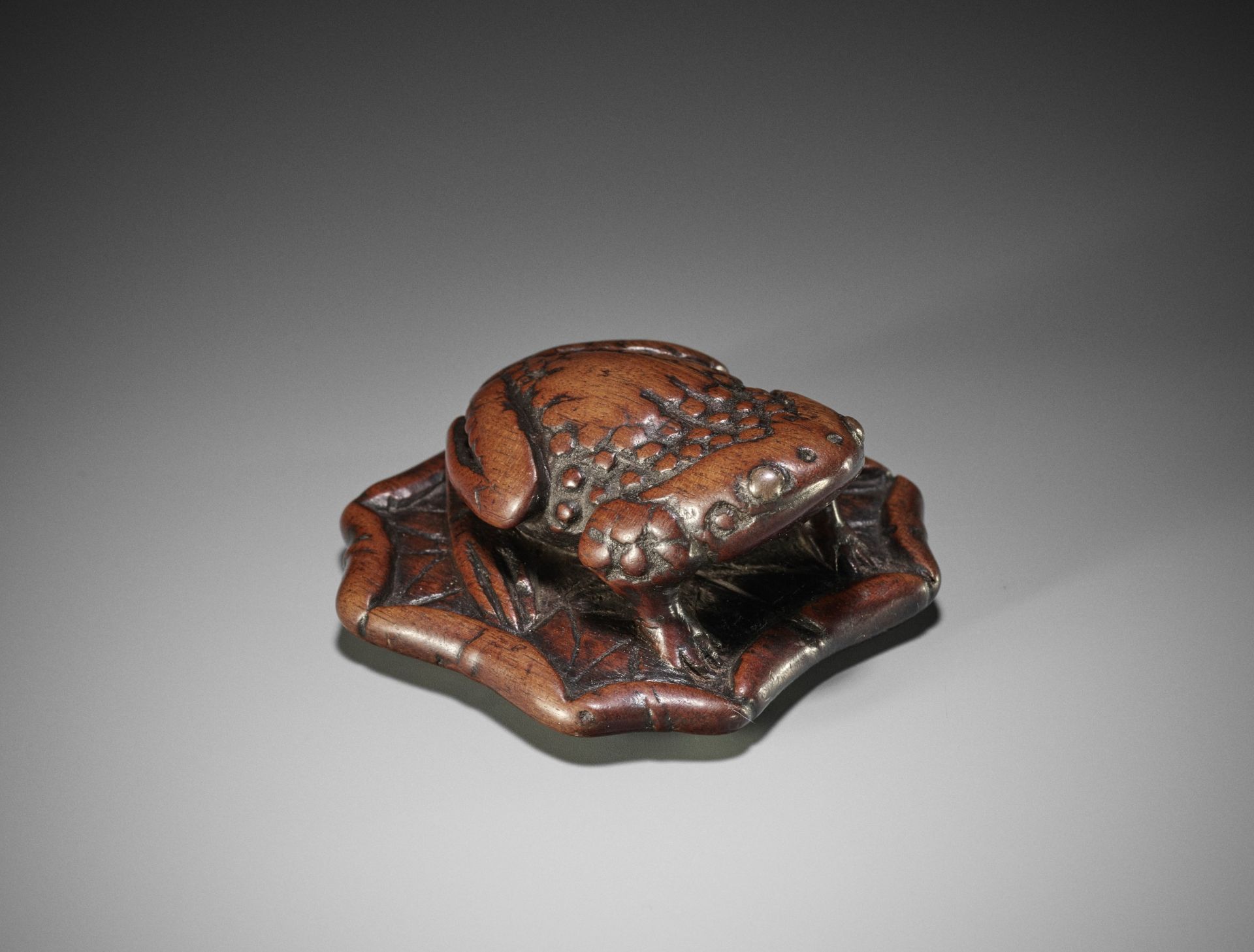 A LARGE AND UNUSUAL WOOD NETSUKE OF A TOAD ON A LOTUS LEAF