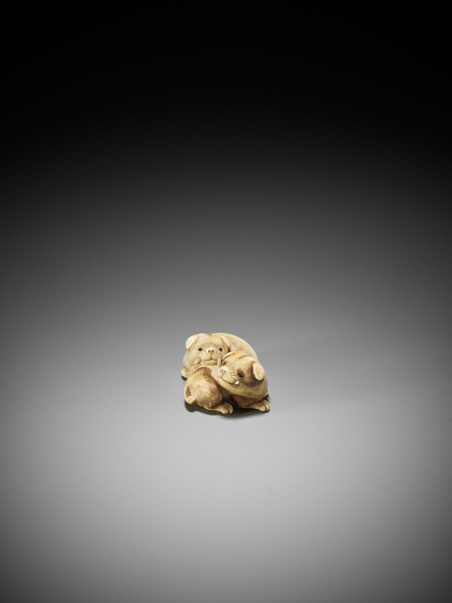 RANTEI: A CHARMING IVORY NETSUKE OF TWO PLAYING PUPS - Bild 4 aus 13