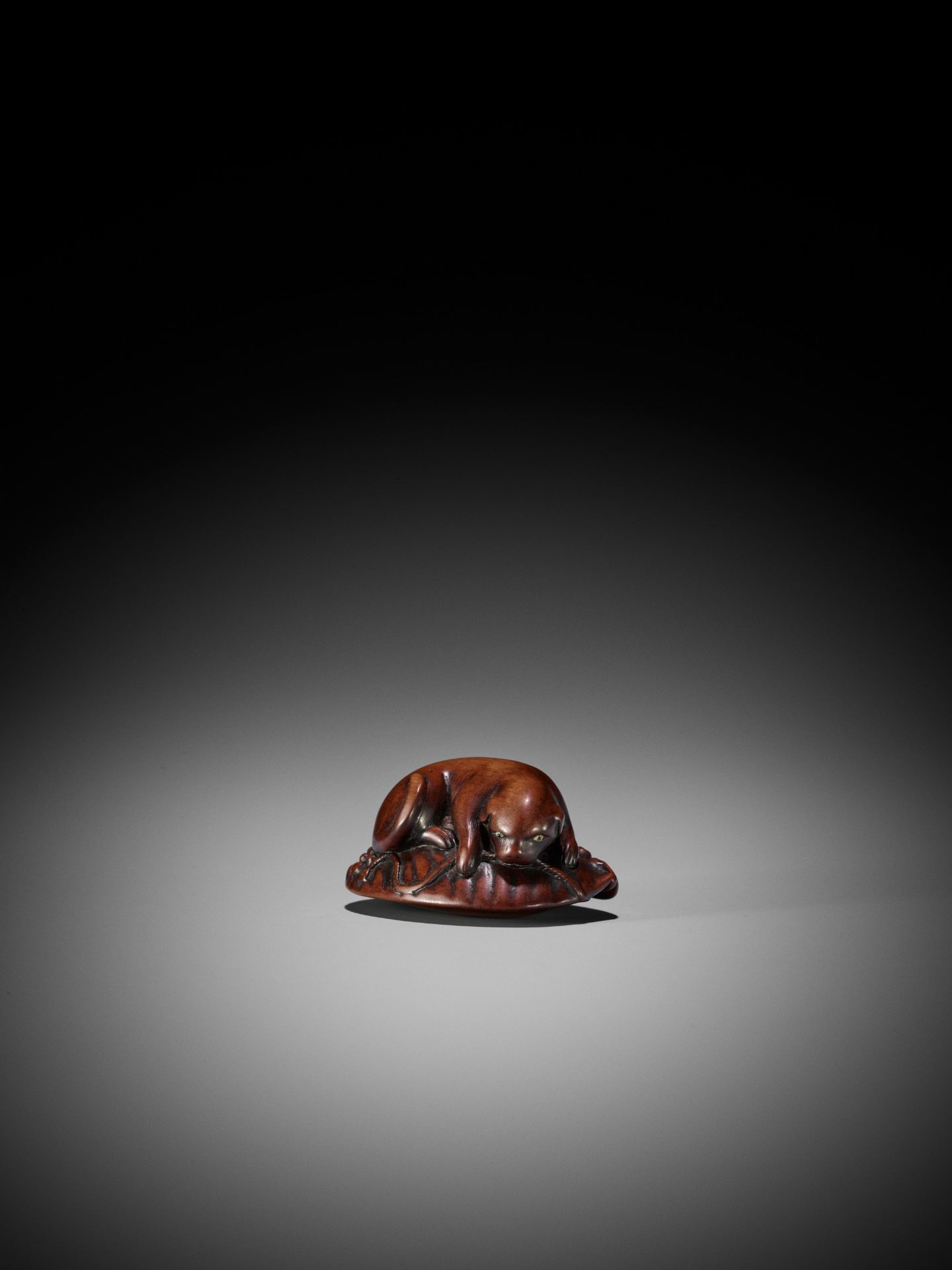 HOSHIN: A WOOD NETSUKE OF A PUPPY ON AWABI - Bild 5 aus 14