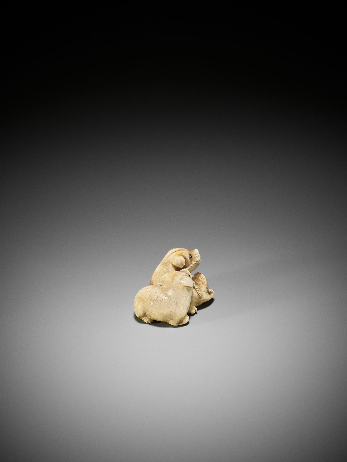 RANTEI: A CHARMING IVORY NETSUKE OF TWO PLAYING PUPS - Bild 6 aus 13