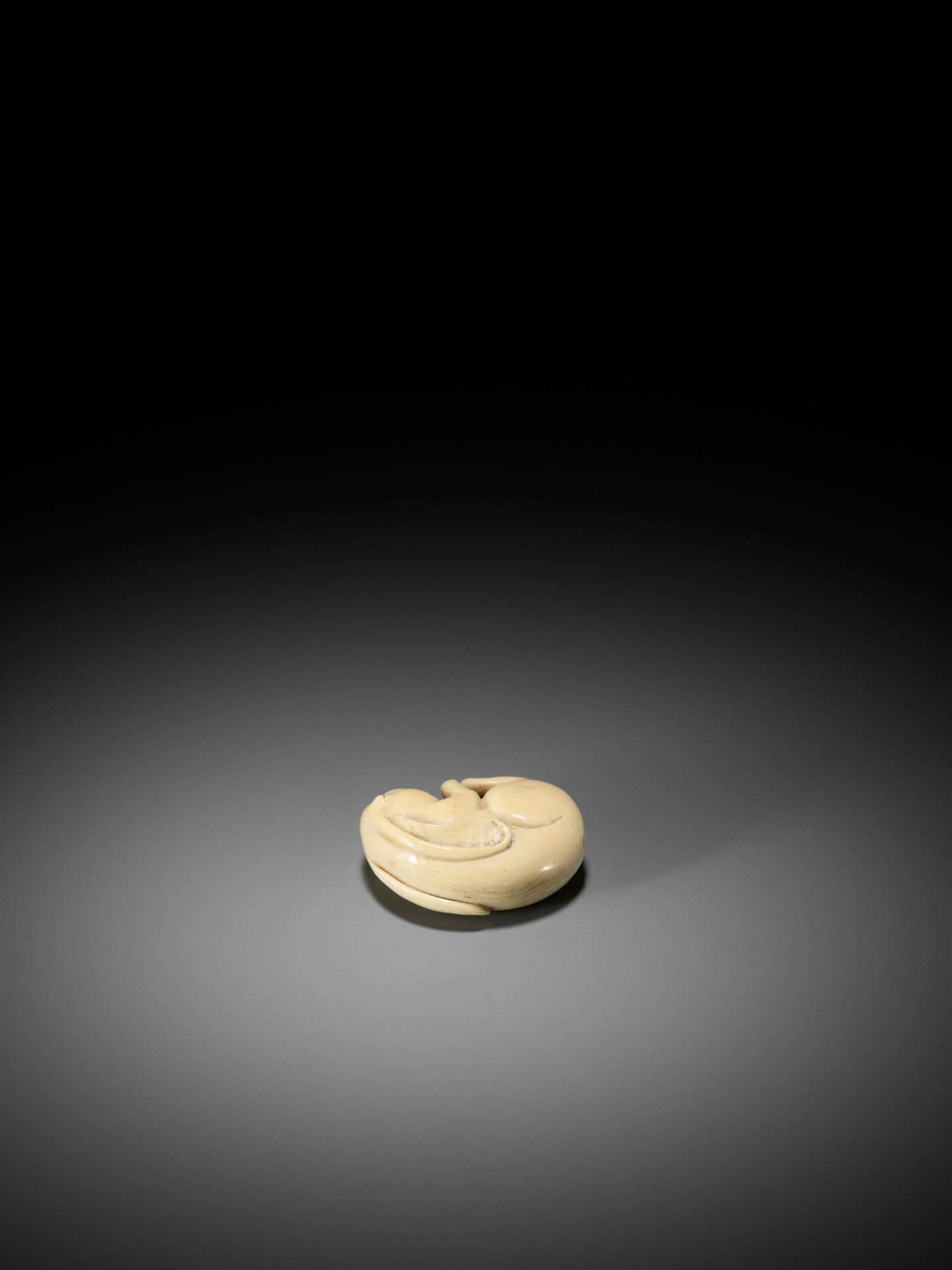 SHUNSUI: A RARE IVORY NETSUKE OF A SLEEPING HARE - Bild 6 aus 8