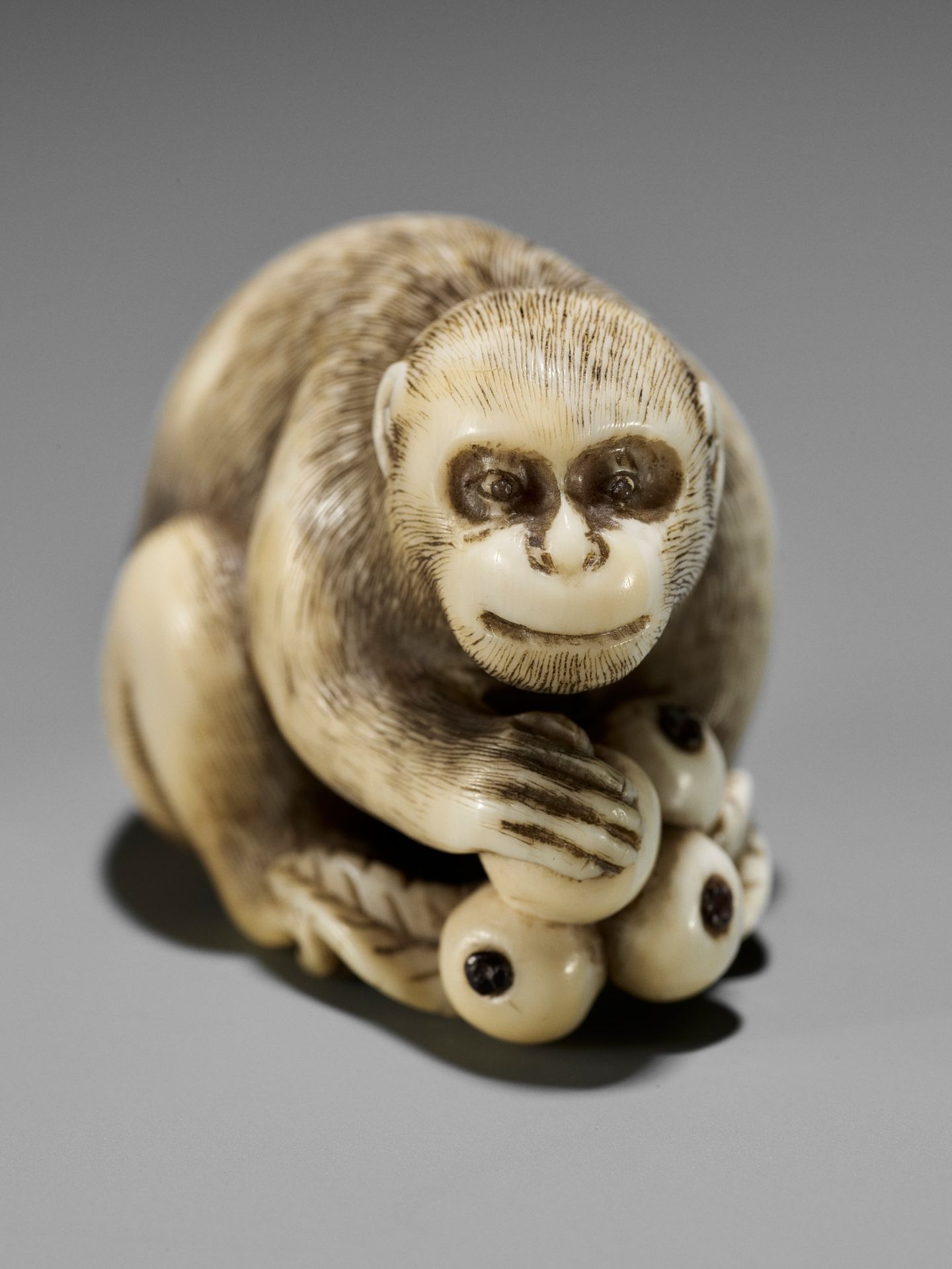 OKATORI: A FINE IVORY NETSUKE OF A MONKEY WITH BIWA (LOQUATS) - Bild 10 aus 13