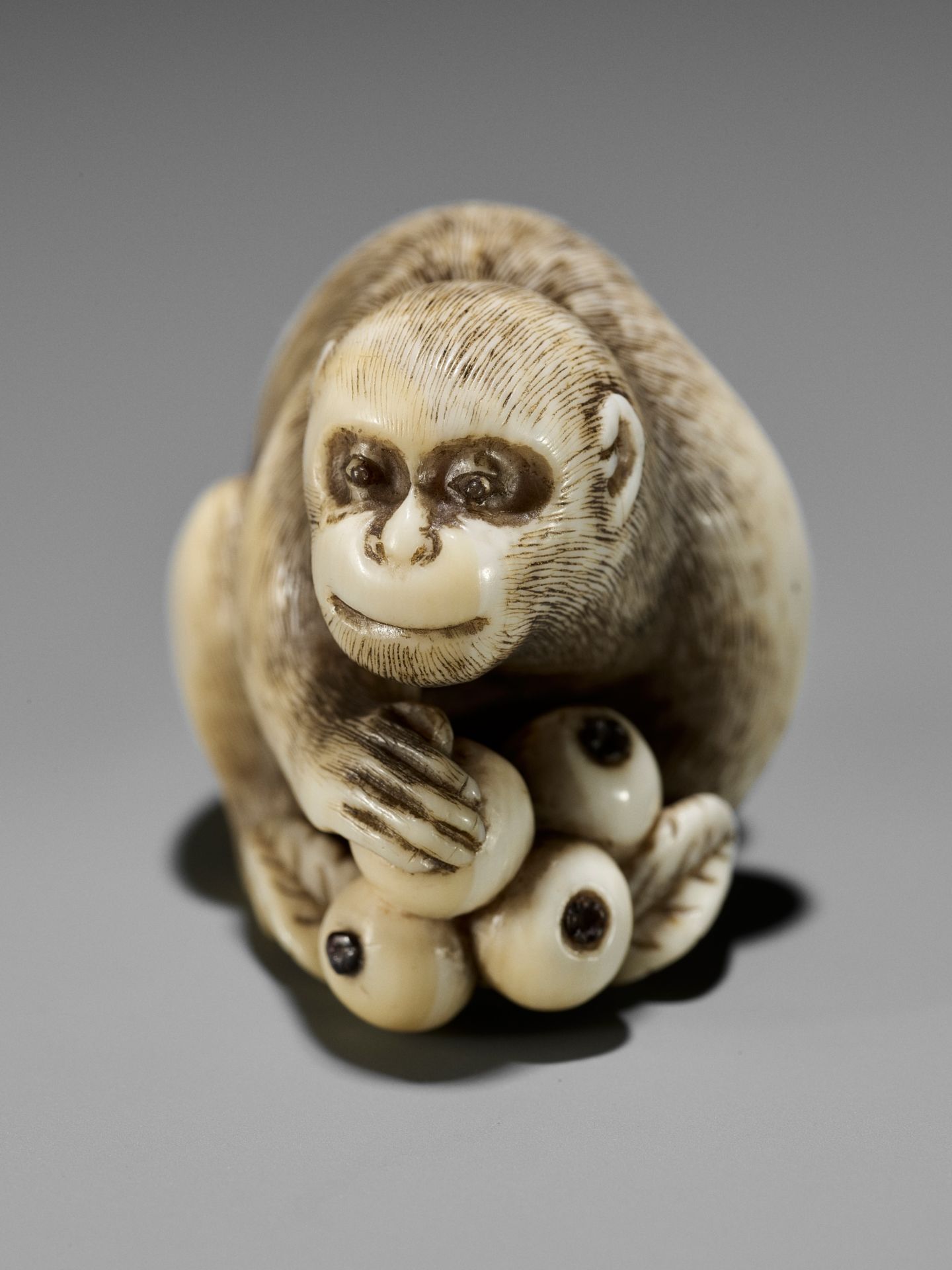 OKATORI: A FINE IVORY NETSUKE OF A MONKEY WITH BIWA (LOQUATS) - Bild 2 aus 13