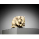 OKATORI: A SUPERB IVORY NETSUKE OF A RAT EATING A FRUIT