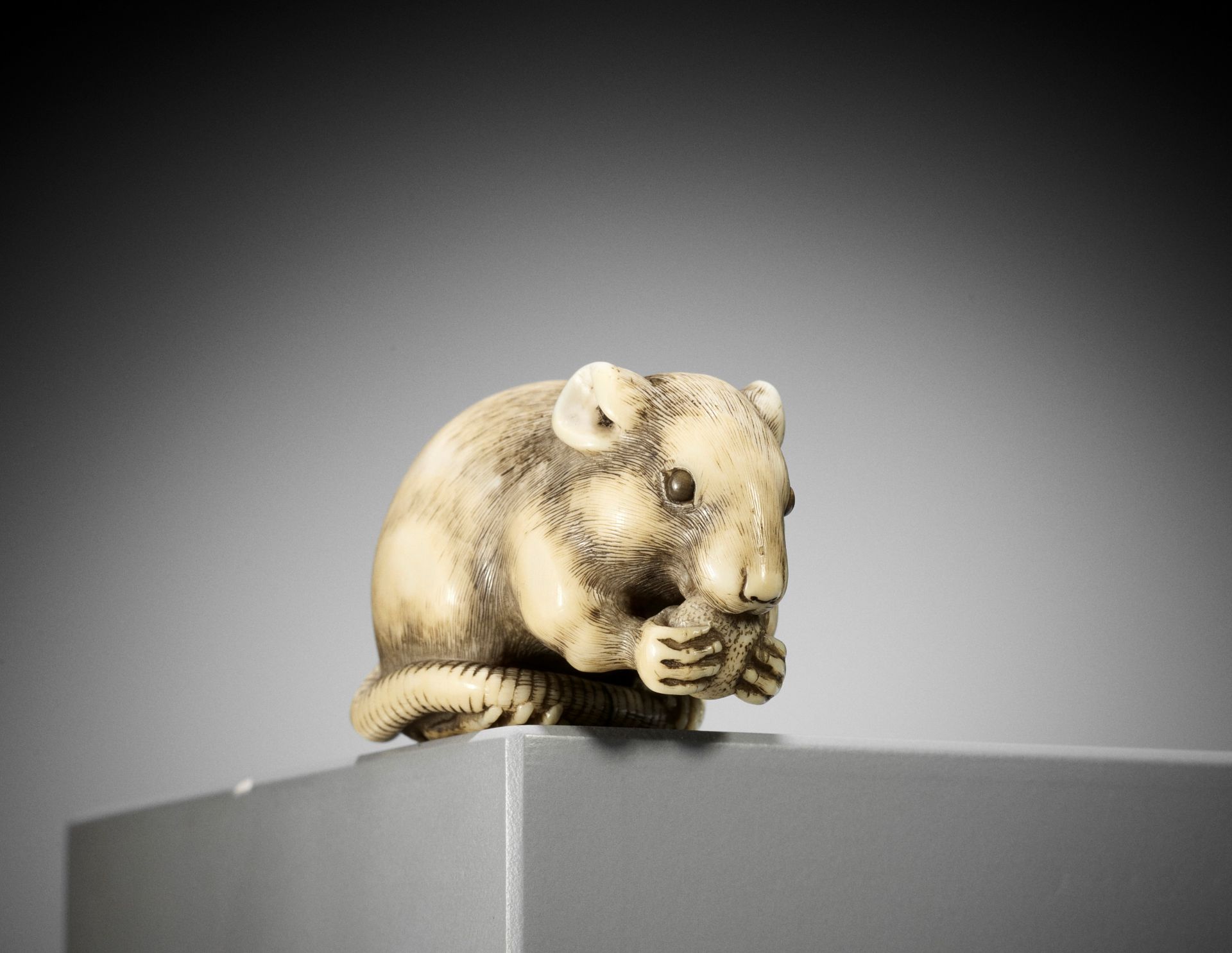 OKATORI: A SUPERB IVORY NETSUKE OF A RAT EATING A FRUIT