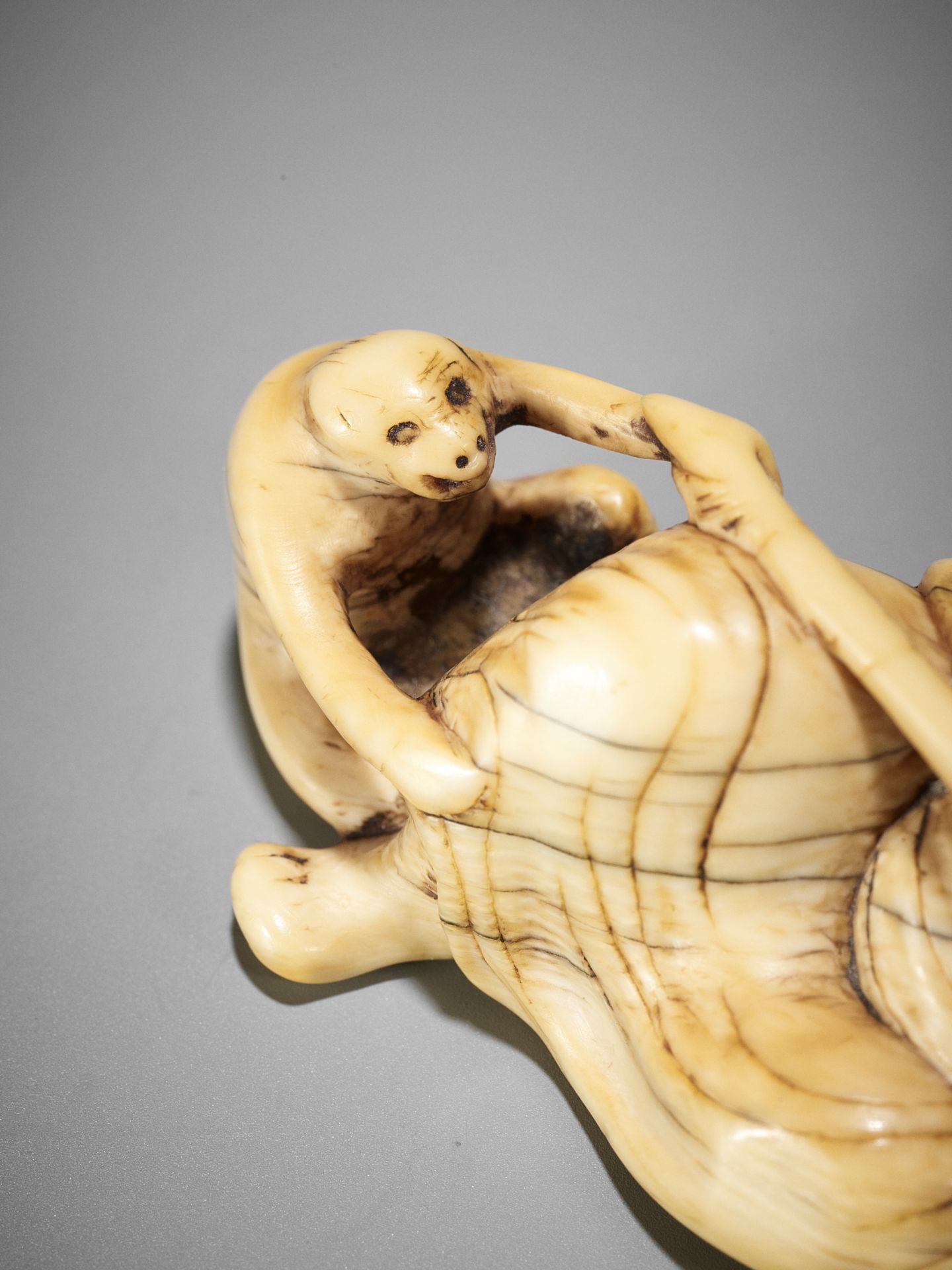 A RARE AND LARGE IVORY NETSUKE OF A RECLINING SARUMAWASHI AND HIS MONKEY - Bild 9 aus 10