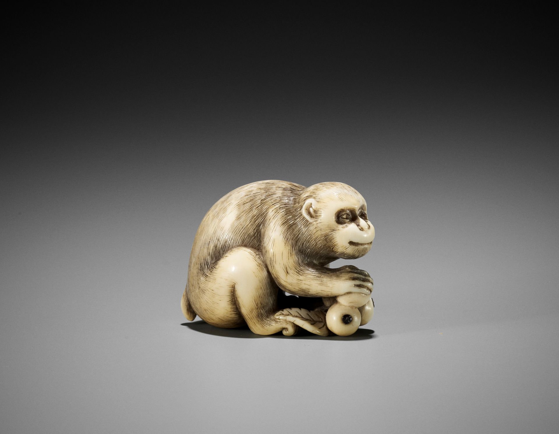 OKATORI: A FINE IVORY NETSUKE OF A MONKEY WITH BIWA (LOQUATS)