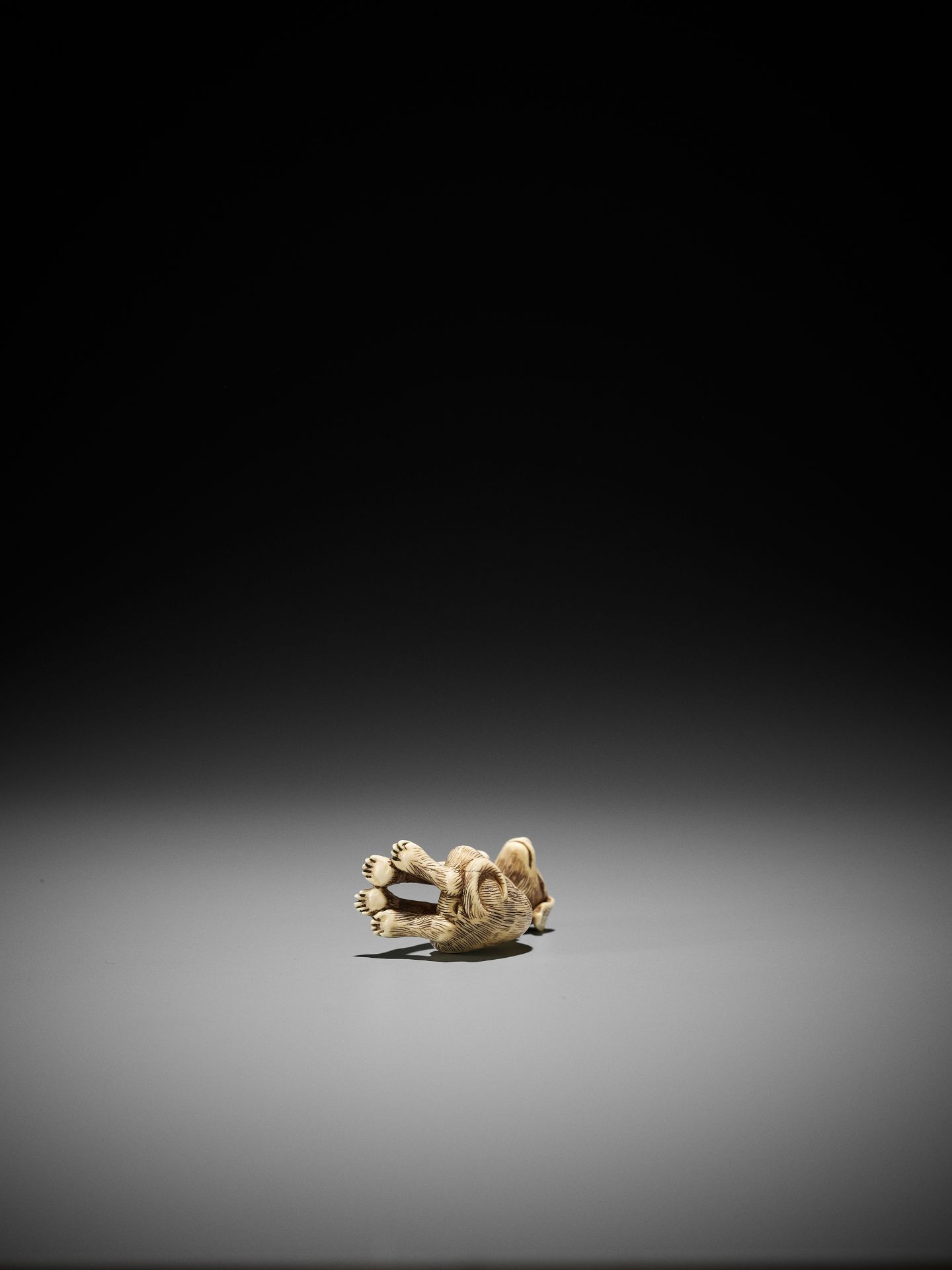 AN IVORY NETSUKE OF A EUROPEAN DOG - Bild 8 aus 9