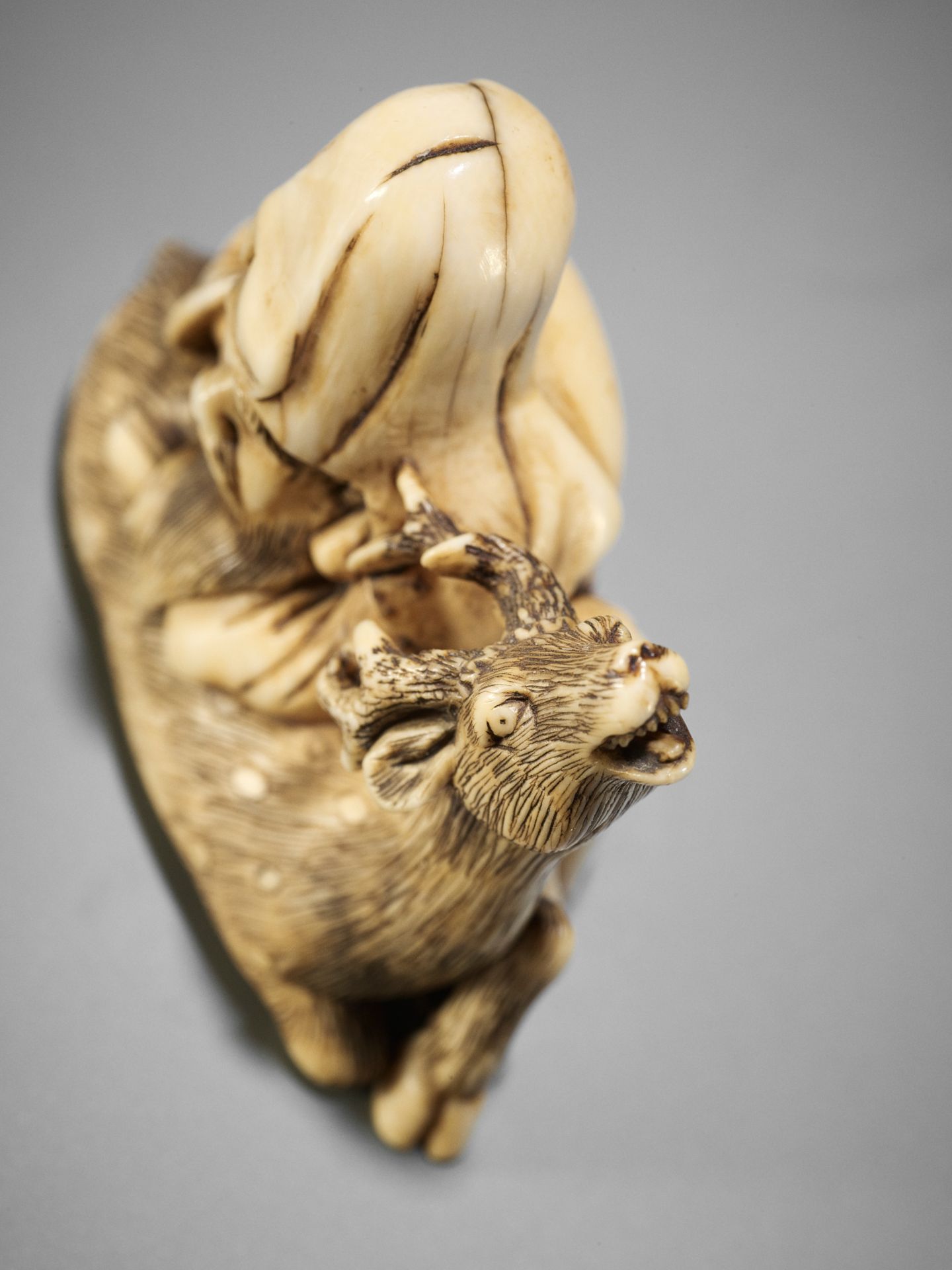 A FINE KYOTO SCHOOL IVORY NETSUKE OF JUROJIN AND HIS DEER - Bild 3 aus 13