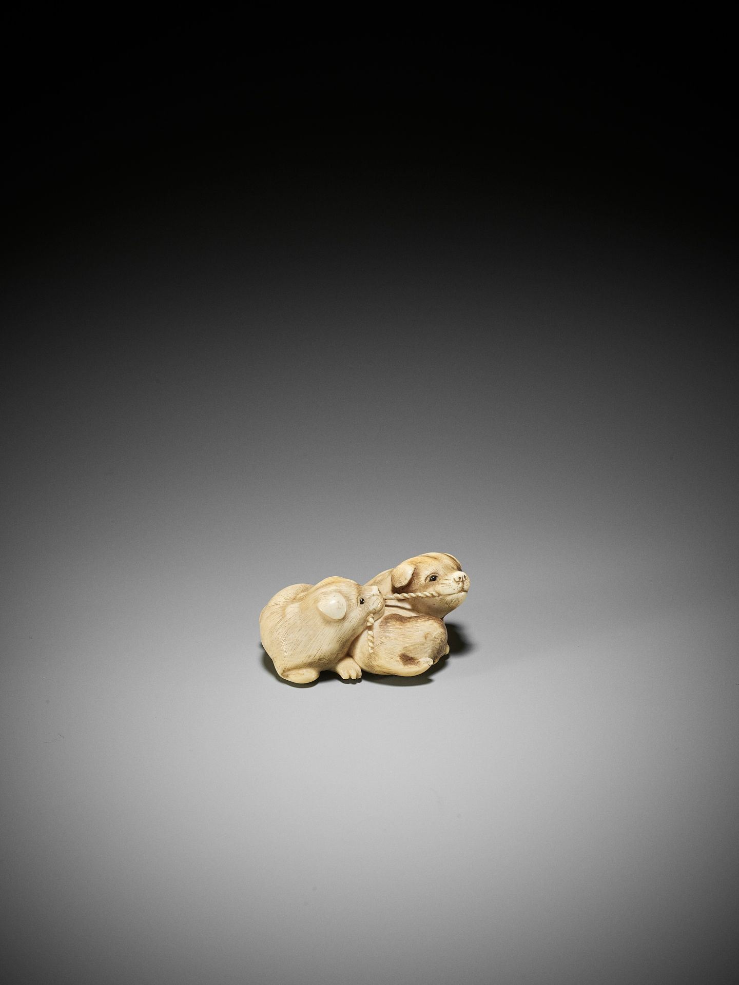 RANTEI: A CHARMING IVORY NETSUKE OF TWO PLAYING PUPS - Bild 7 aus 13