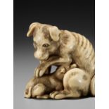 AN IVORY NETSUKE OF A DOG AND YOUNG, ATTRIBUTED TO OKATOMO