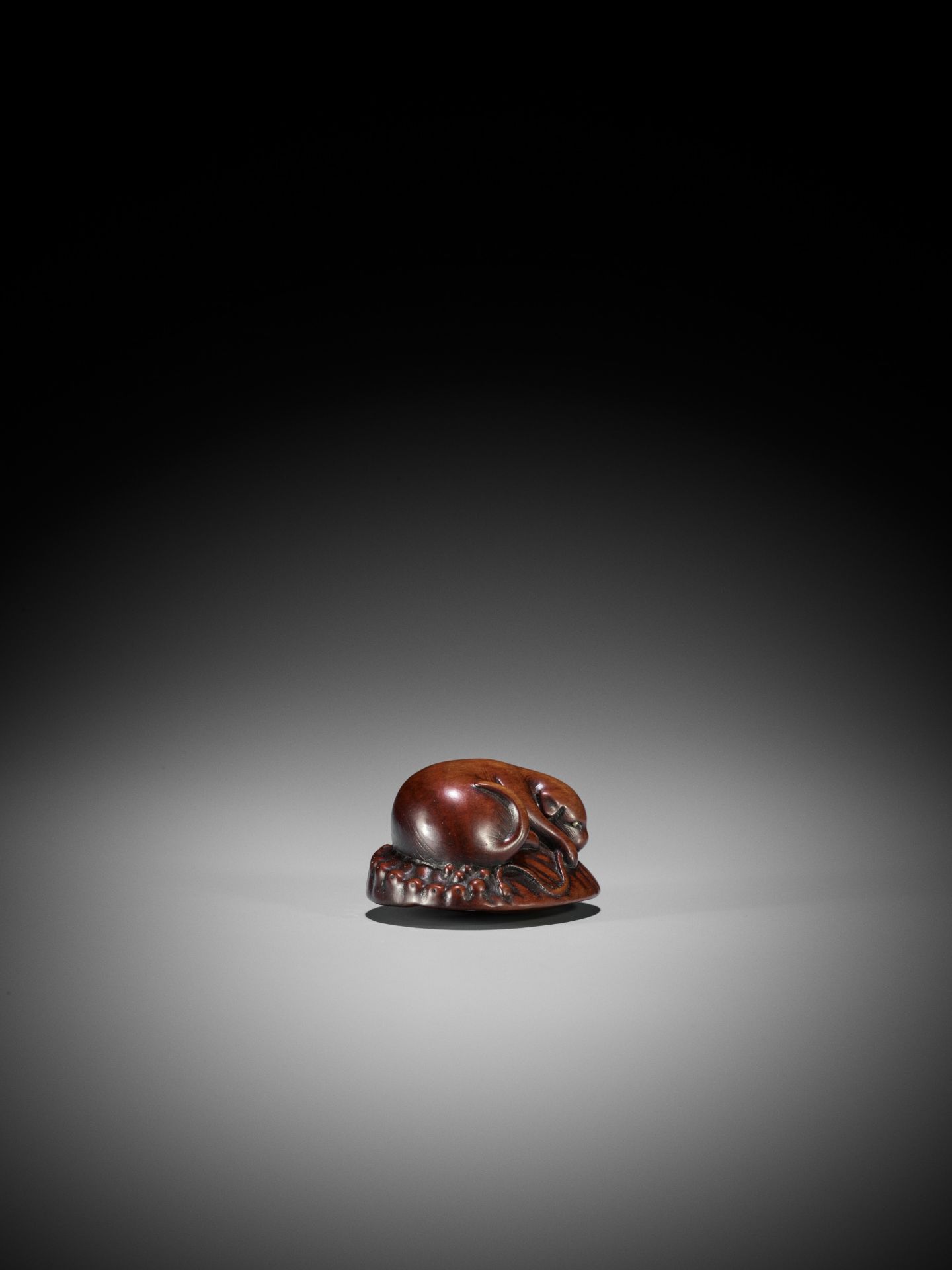 HOSHIN: A WOOD NETSUKE OF A PUPPY ON AWABI - Bild 9 aus 14