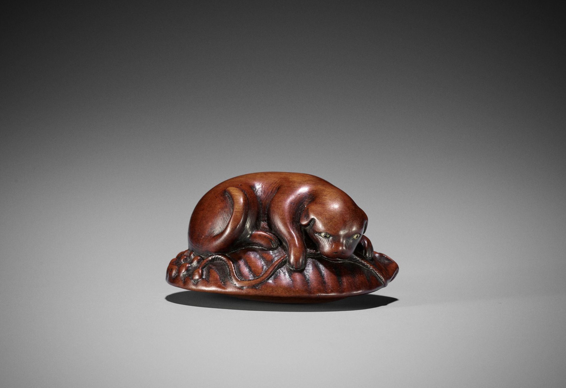 HOSHIN: A WOOD NETSUKE OF A PUPPY ON AWABI