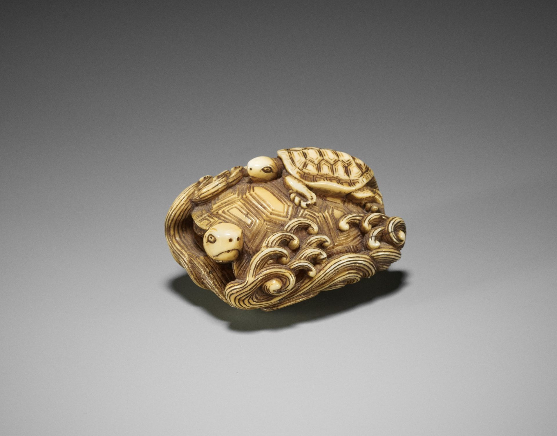 A WALRUS TUSK NETSUKE OF TURTLES AMONGST WAVES