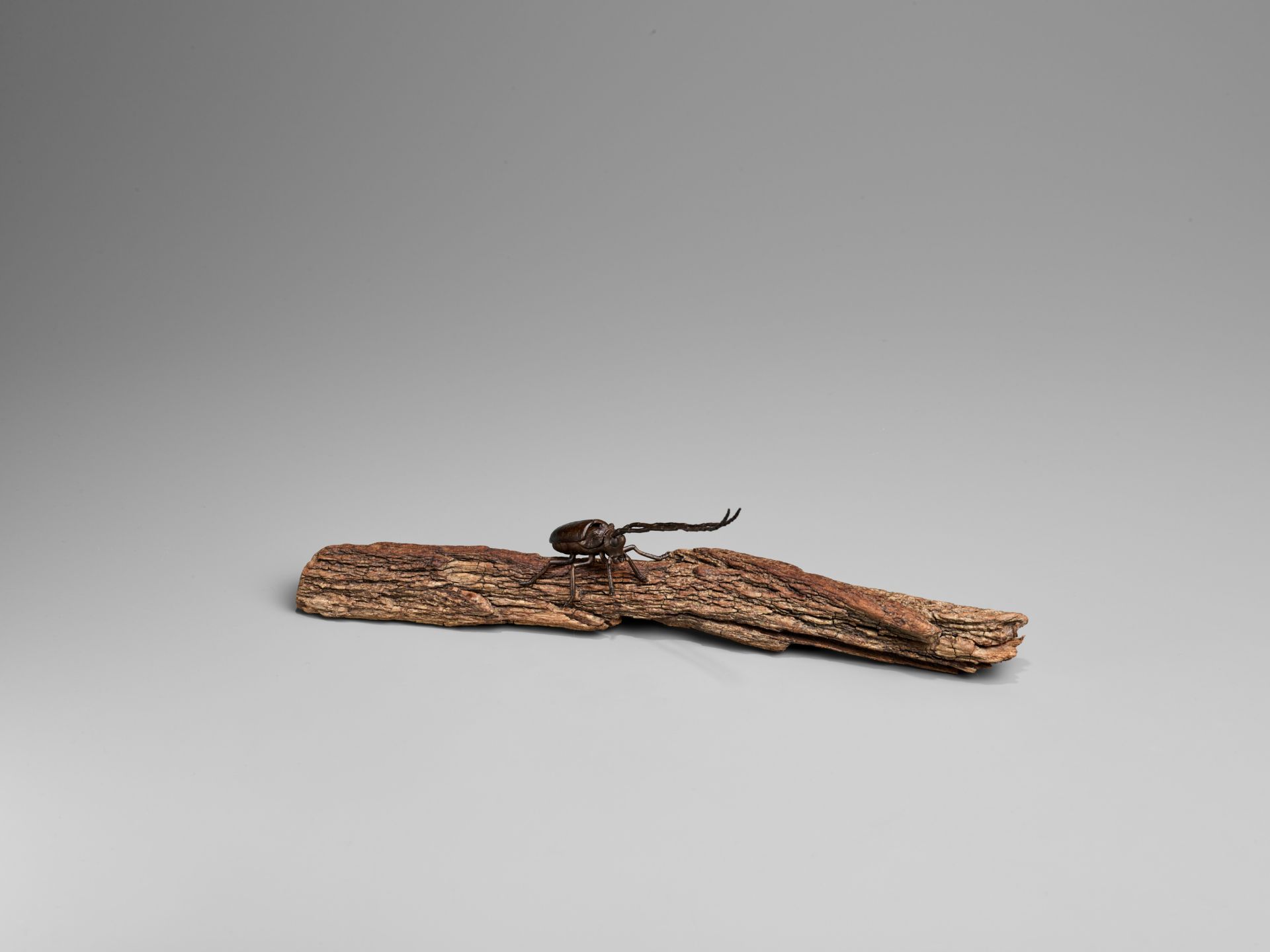 AN ARTICULATED BRONZE OKIMONO OF A SAWYER BEETLE CLIMBING A ROOTWOOD LOG - Image 5 of 9