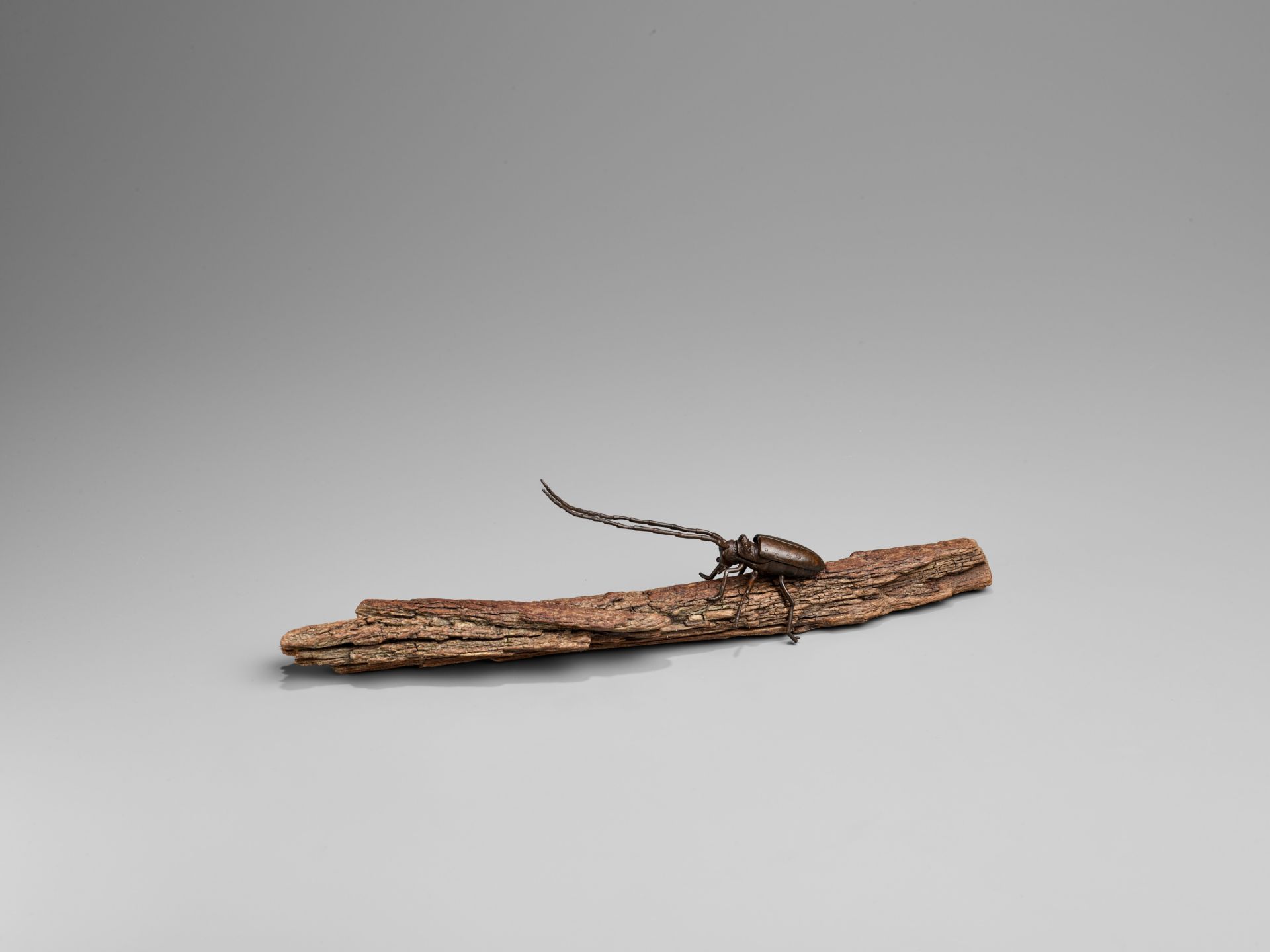 AN ARTICULATED BRONZE OKIMONO OF A SAWYER BEETLE CLIMBING A ROOTWOOD LOG - Image 7 of 9