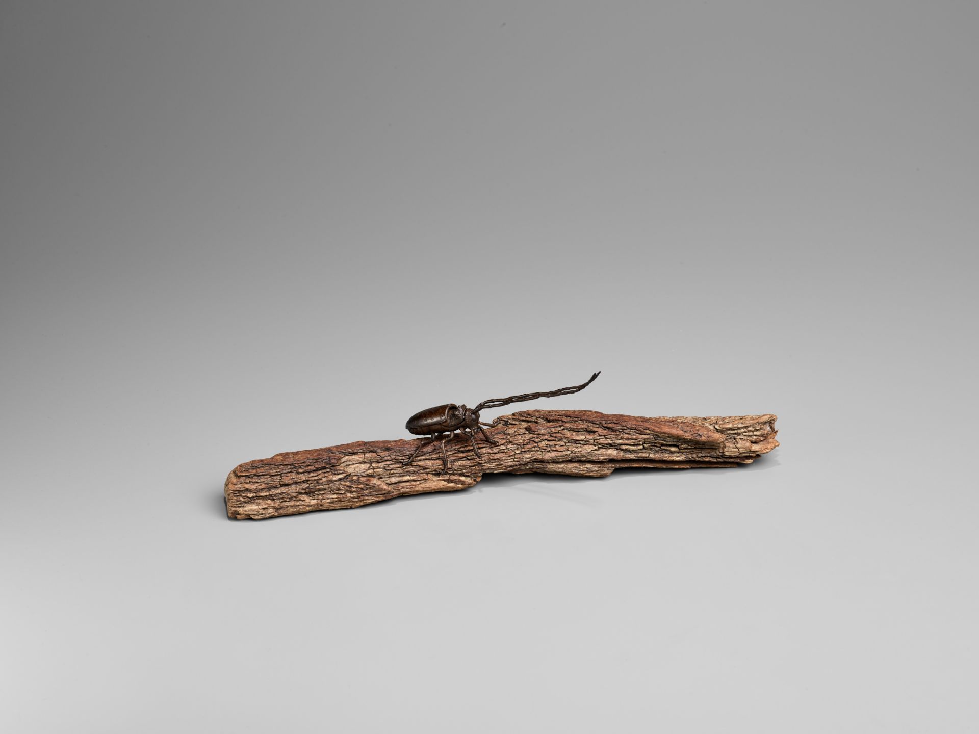 AN ARTICULATED BRONZE OKIMONO OF A SAWYER BEETLE CLIMBING A ROOTWOOD LOG - Image 4 of 9