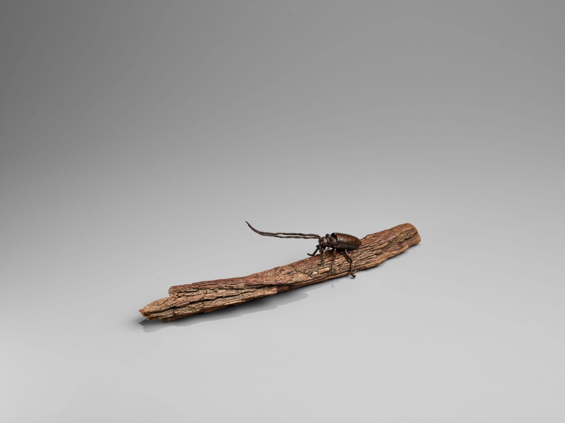 AN ARTICULATED BRONZE OKIMONO OF A SAWYER BEETLE CLIMBING A ROOTWOOD LOG - Image 3 of 9