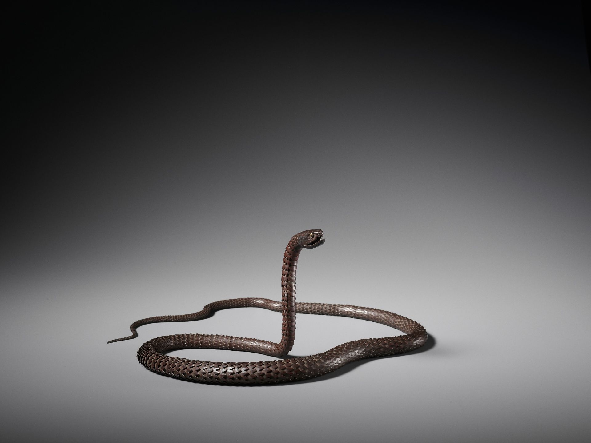 MYOCHIN MUNEKAZU: A SUPERB IRON ARTICULATED MODEL OF A SNAKE - Image 7 of 13