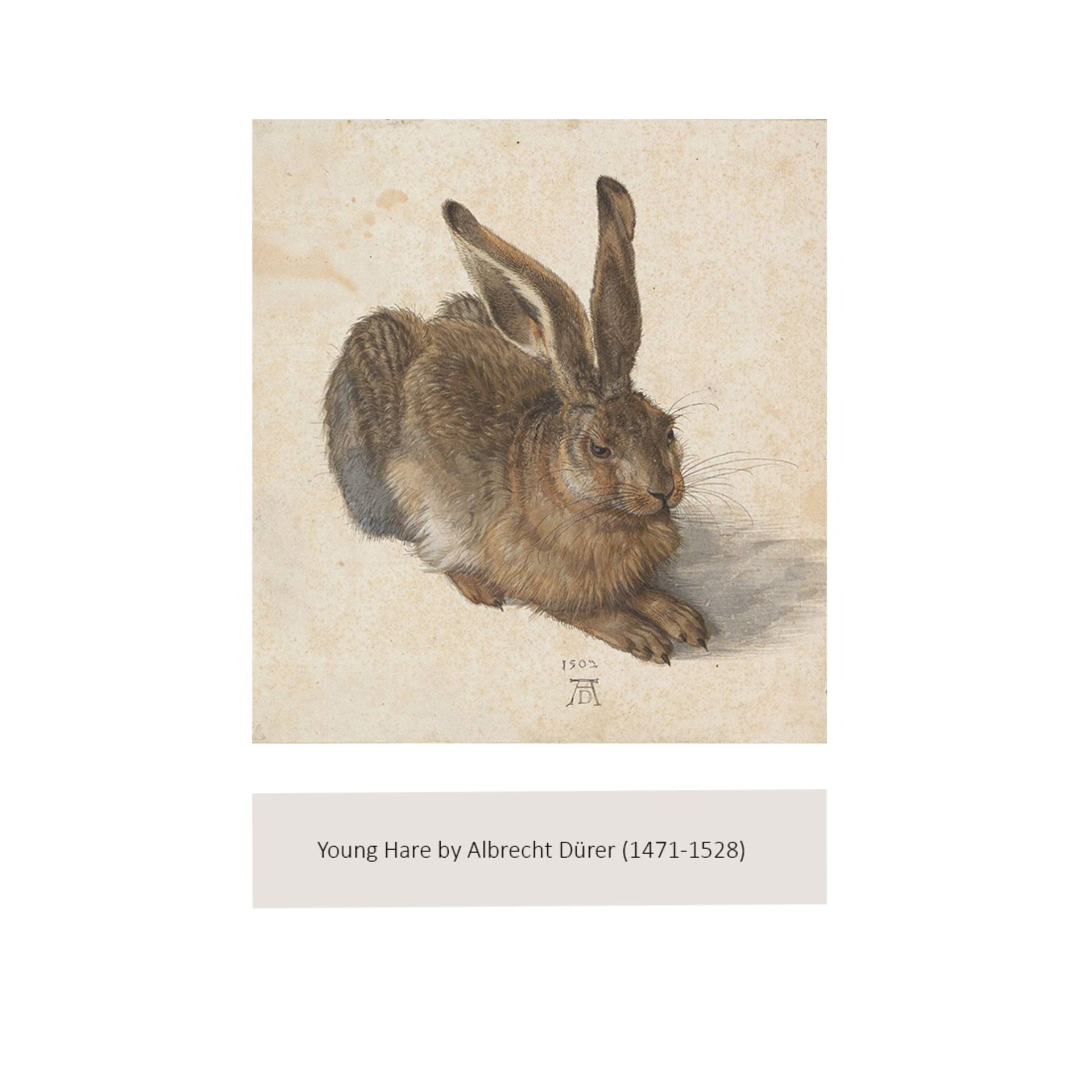 SHIHO: A FINE BRONZE OF A HARE - Bild 12 aus 12