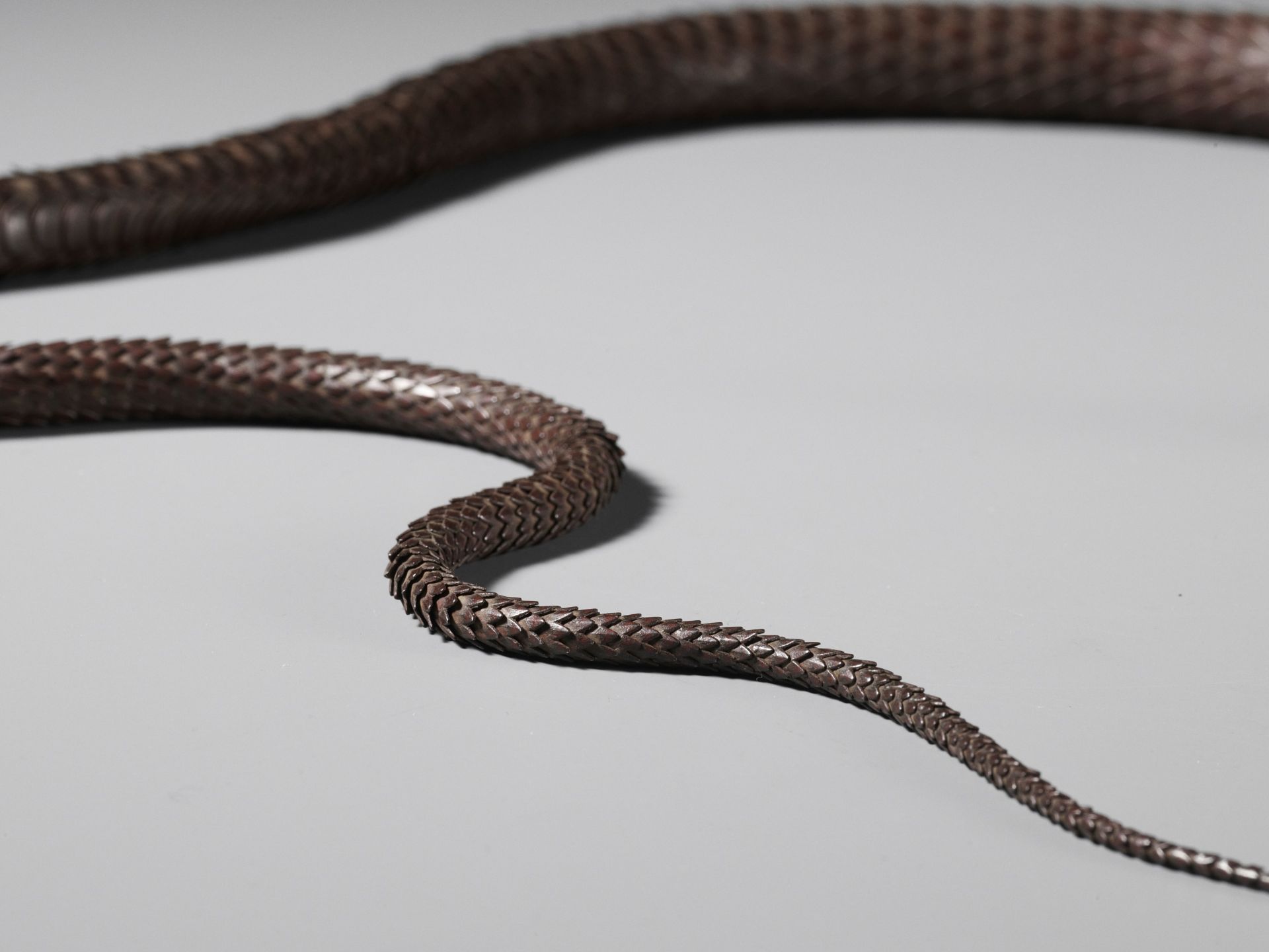 MYOCHIN MUNEKAZU: A SUPERB IRON ARTICULATED MODEL OF A SNAKE - Image 4 of 13