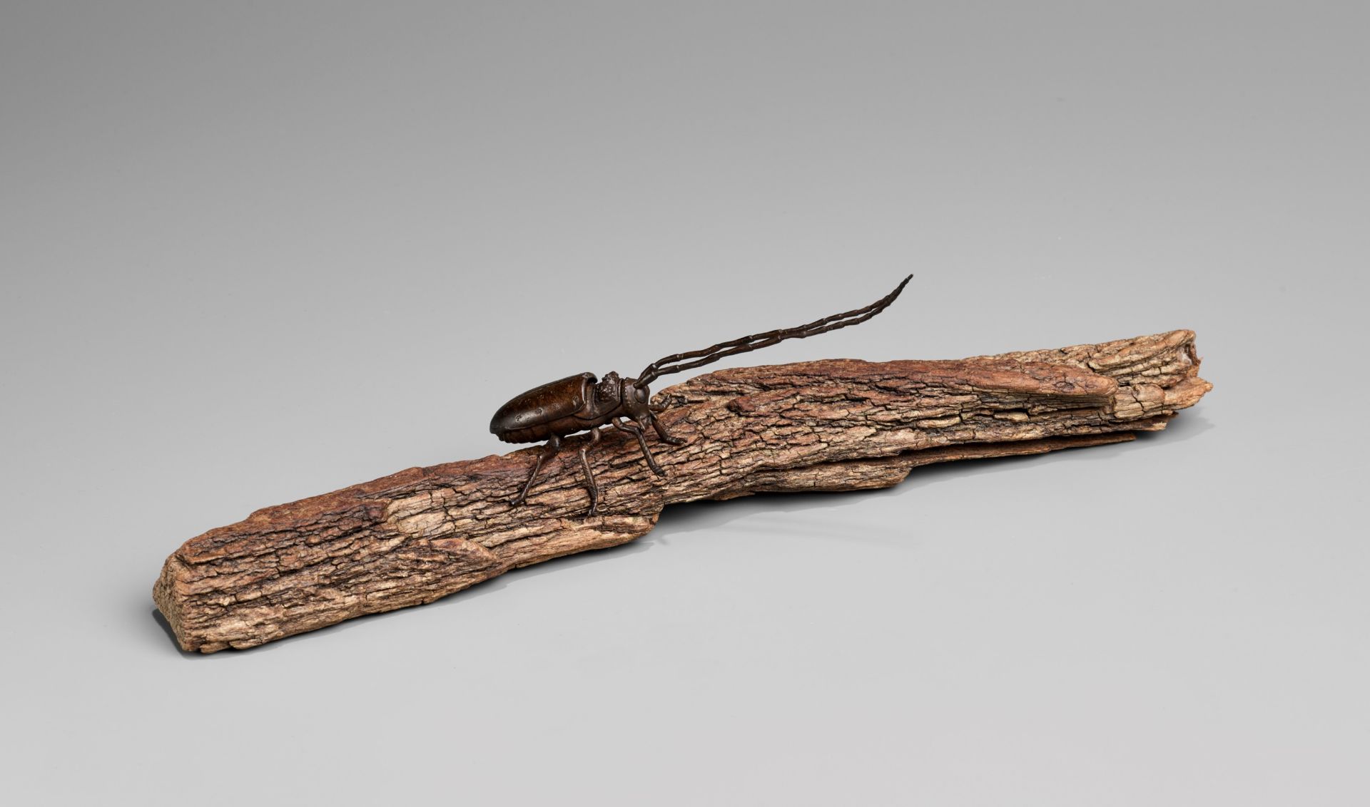 AN ARTICULATED BRONZE OKIMONO OF A SAWYER BEETLE CLIMBING A ROOTWOOD LOG