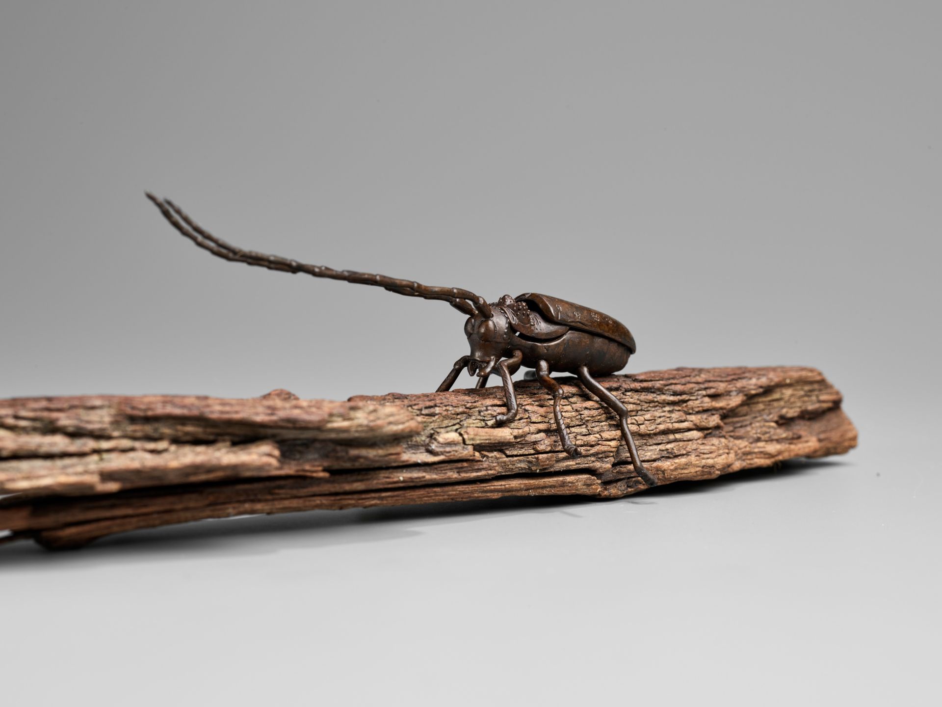 AN ARTICULATED BRONZE OKIMONO OF A SAWYER BEETLE CLIMBING A ROOTWOOD LOG - Image 2 of 9