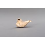 AN IVORY NETSUKE OF A DOVE