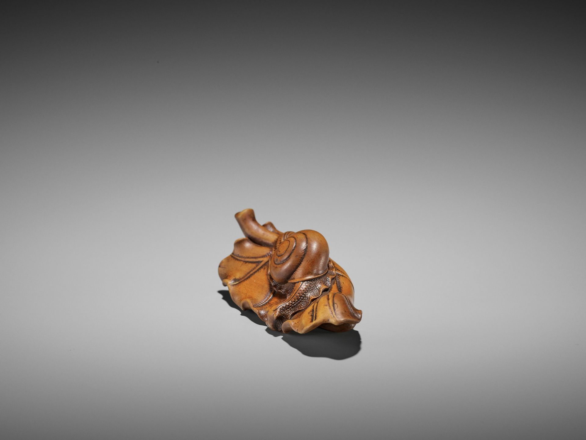 SEIYODO TOMIHARU: A RARE WOOD NETSUKE OF A SNAIL ON A TARO LEAF - Image 3 of 11